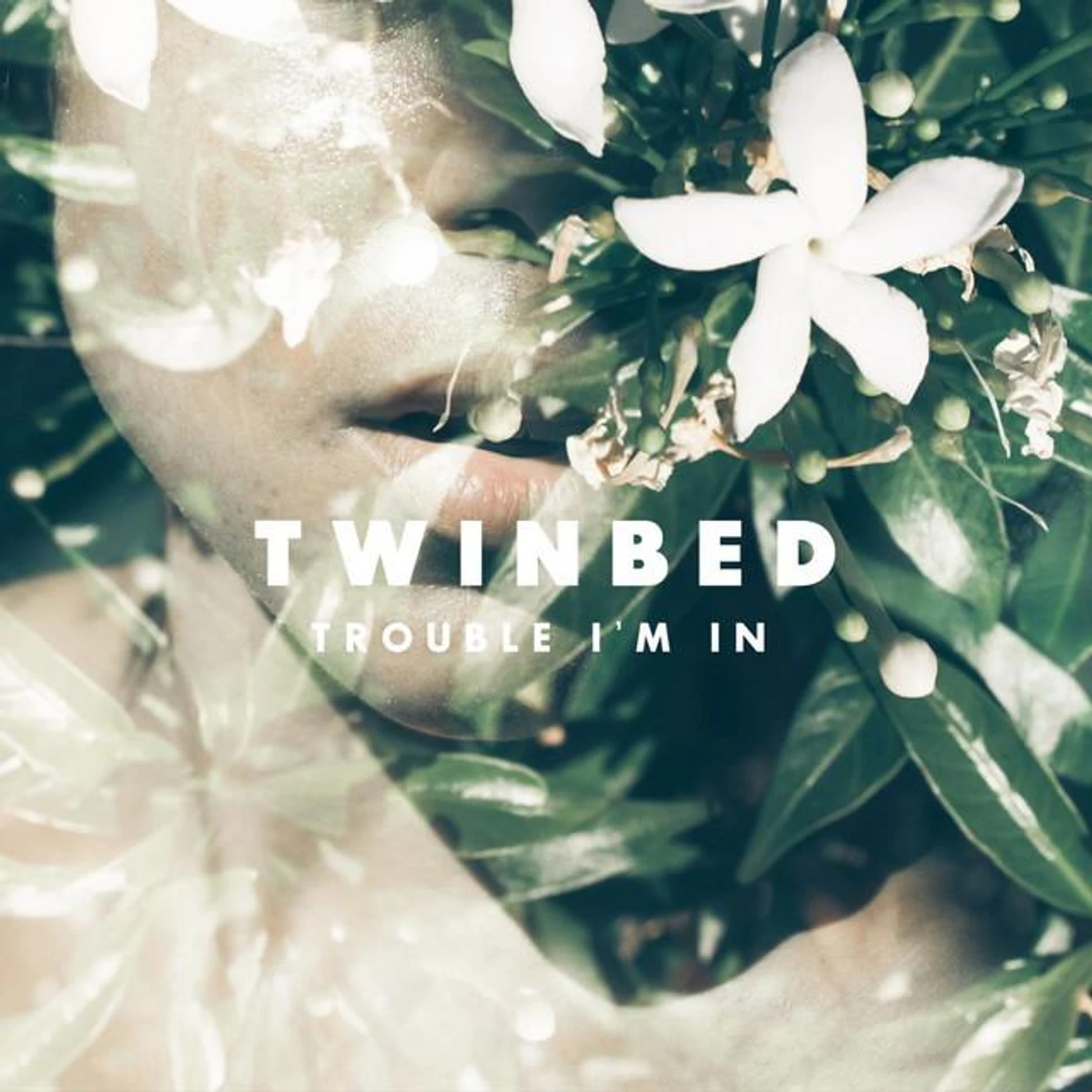 Twinbed Brand Page