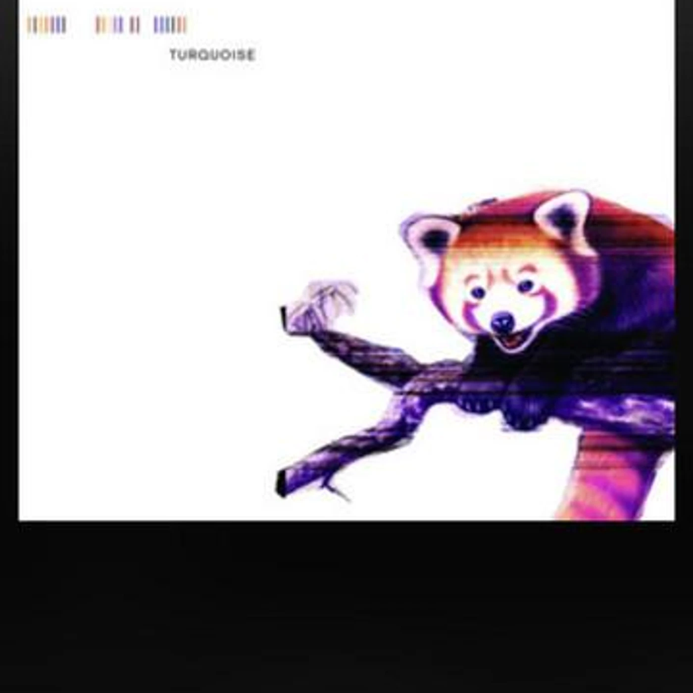 Turquoise Brand Page