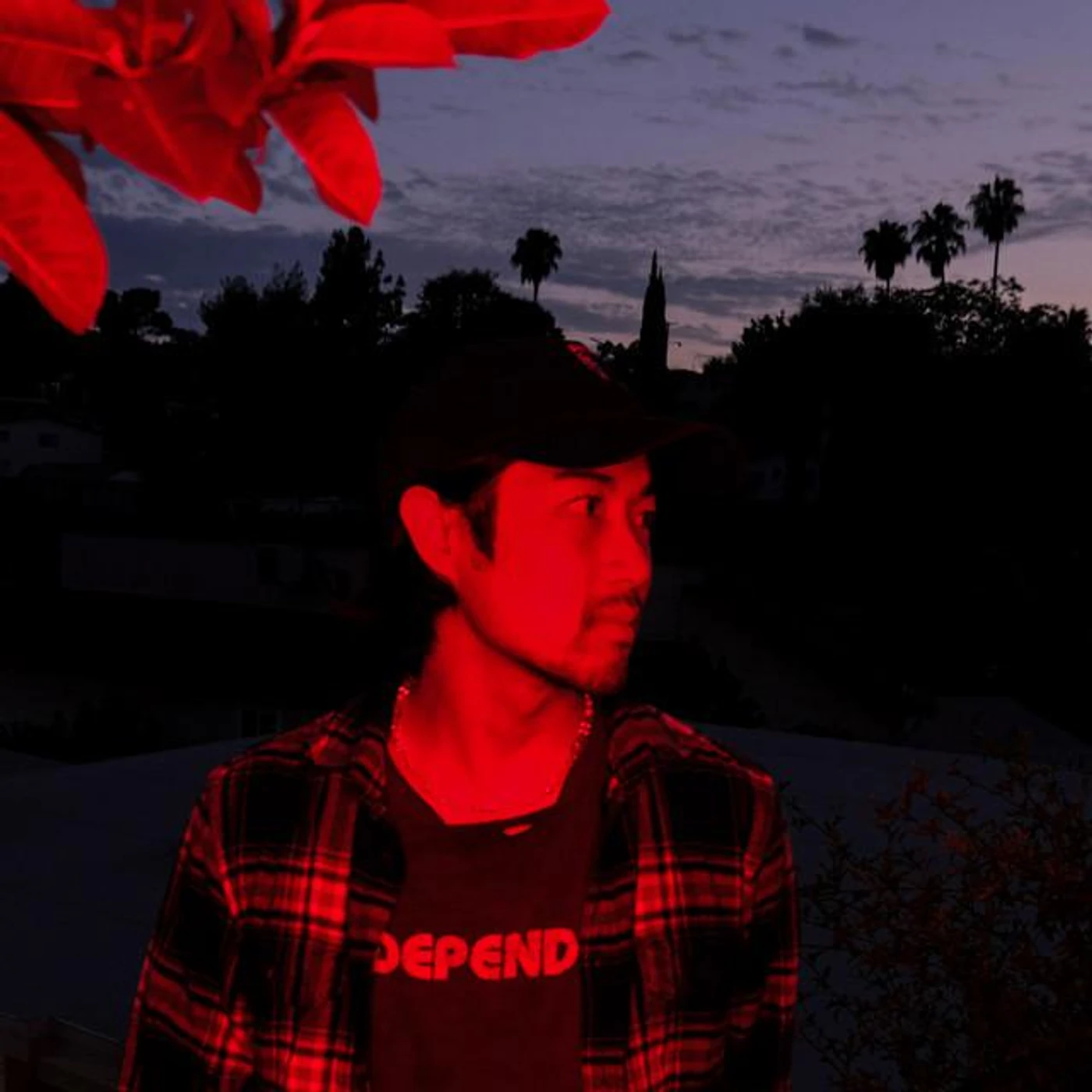 Tyzo Bloom Brand Page