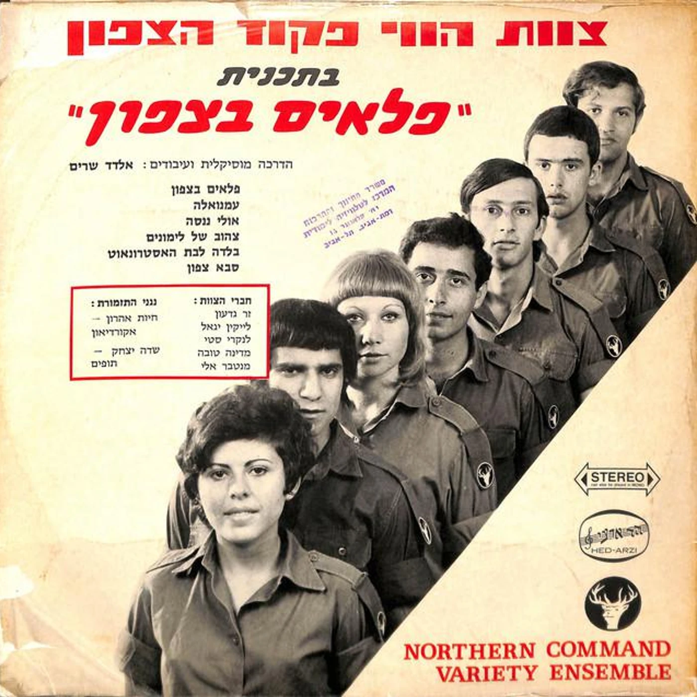 Tzevet Havai Pikud Tzafon