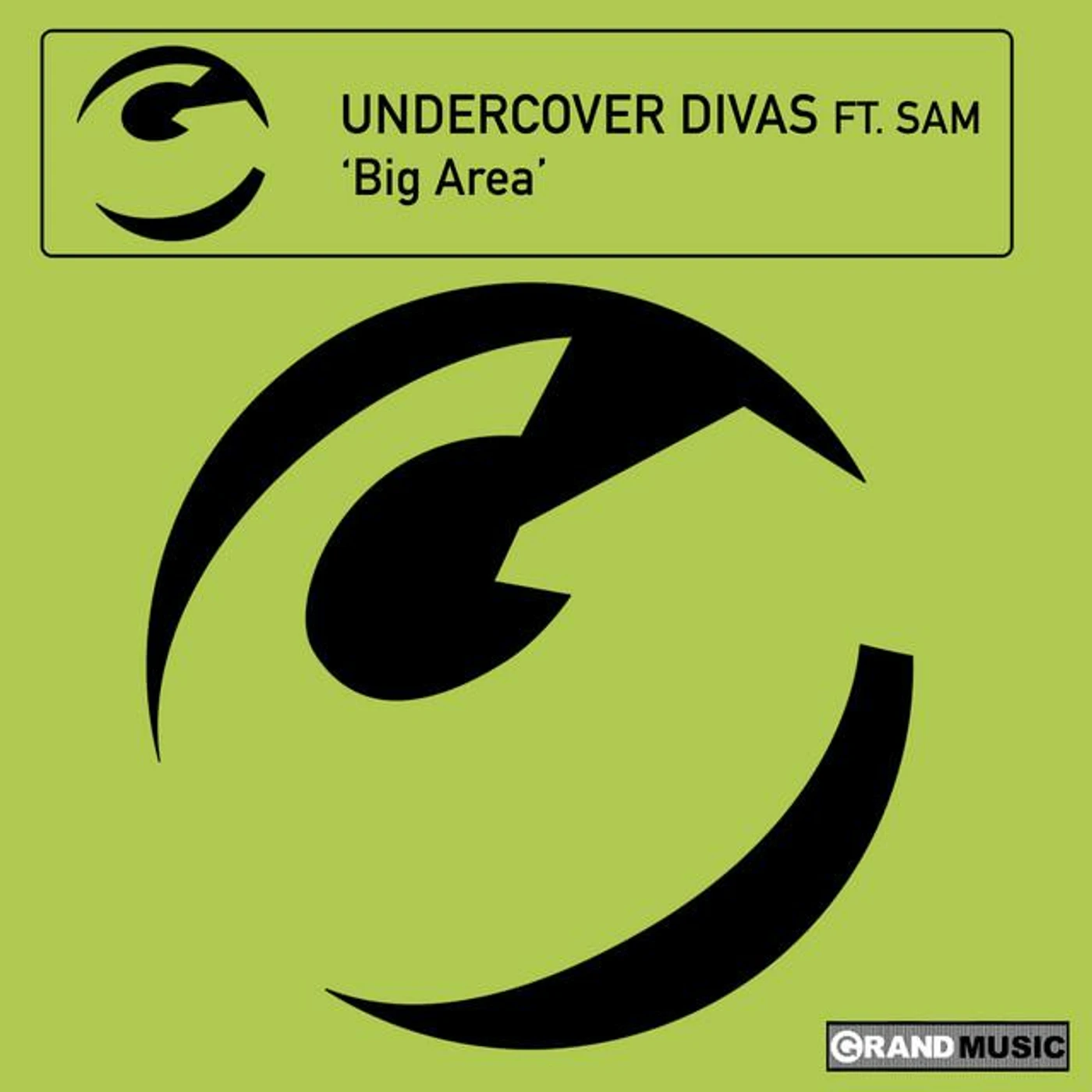Undercover Divas