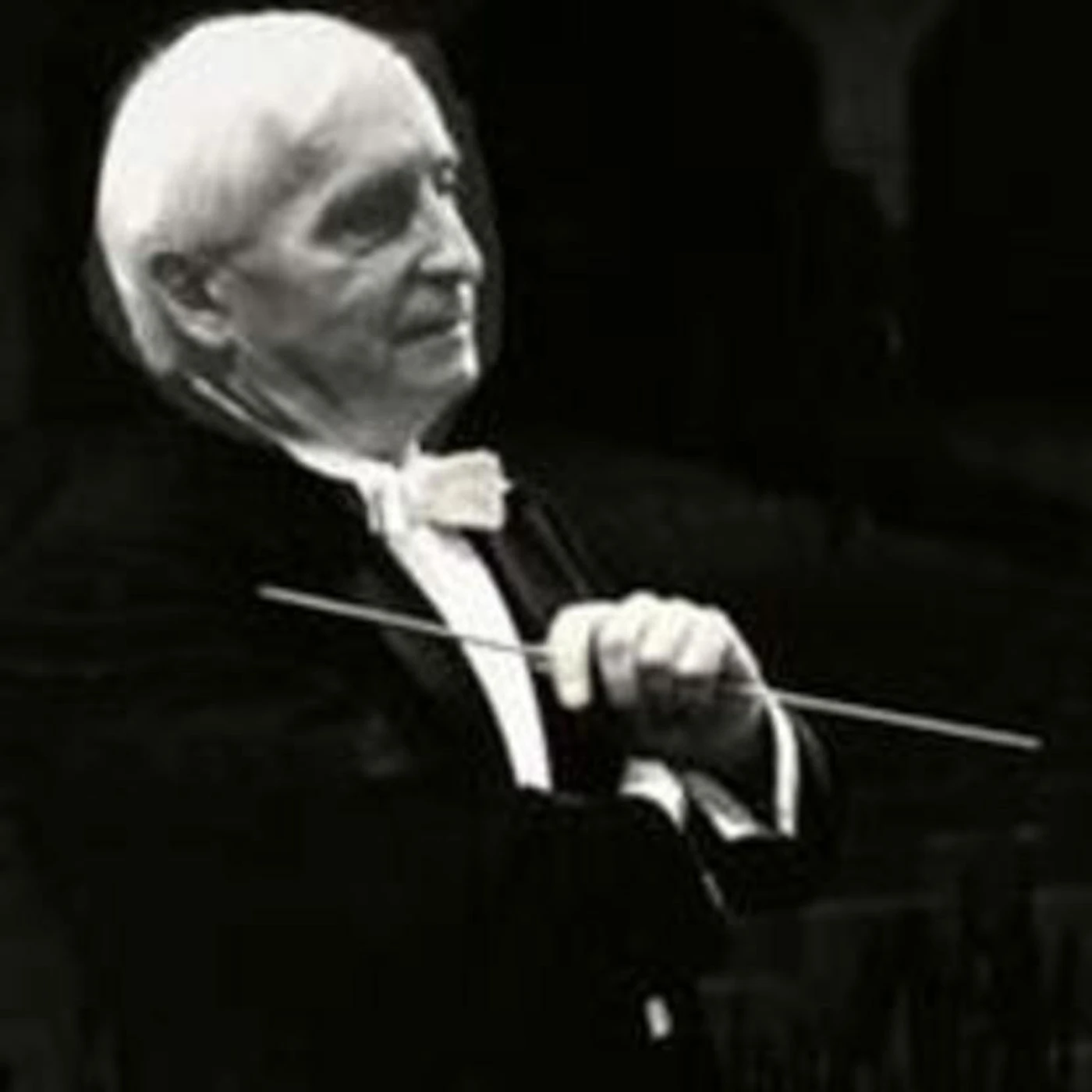 Václav Neumann Brand Page