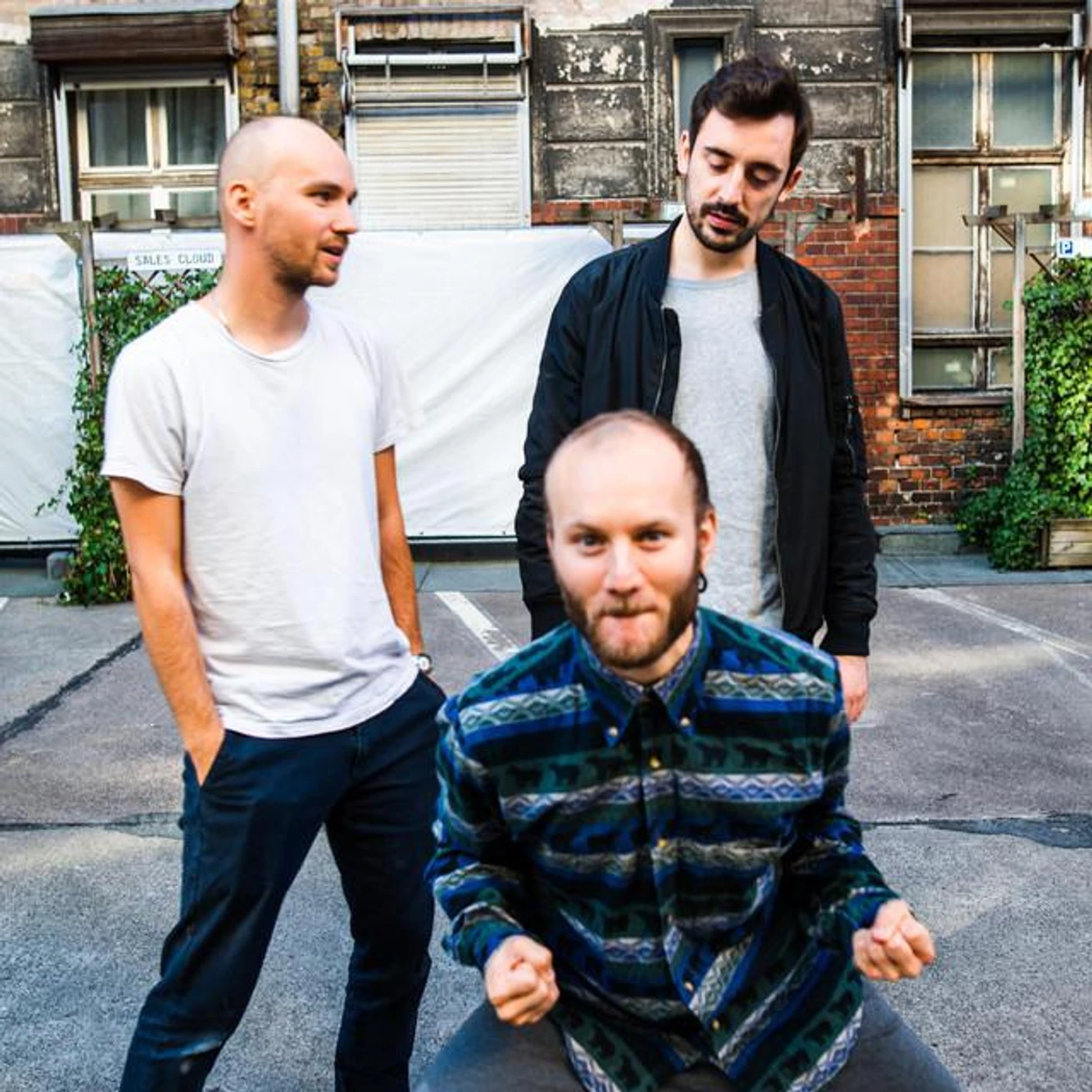 Vögel die Erde essen