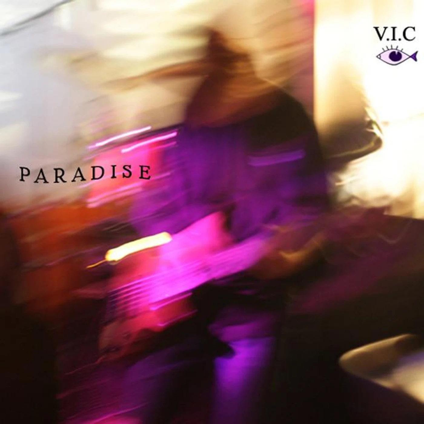 V.I.C Sound