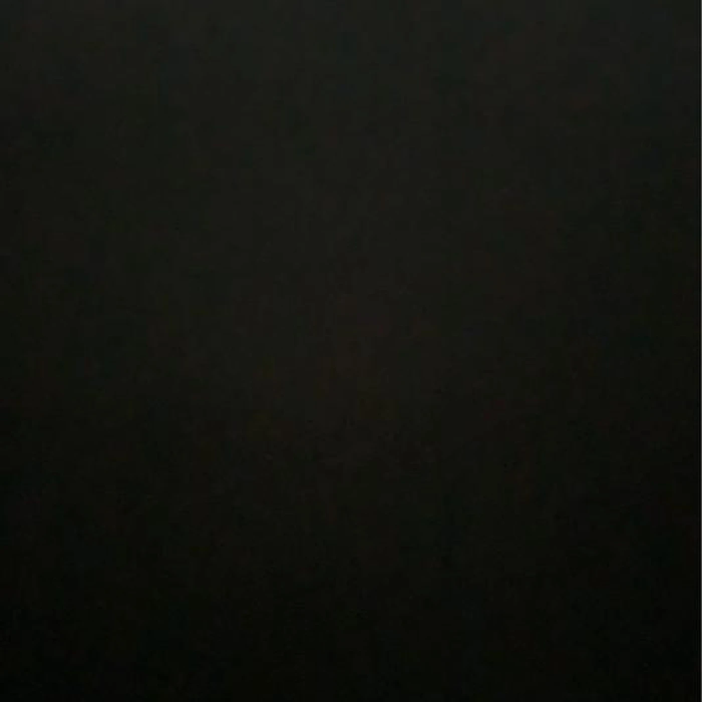 Vai e Vem