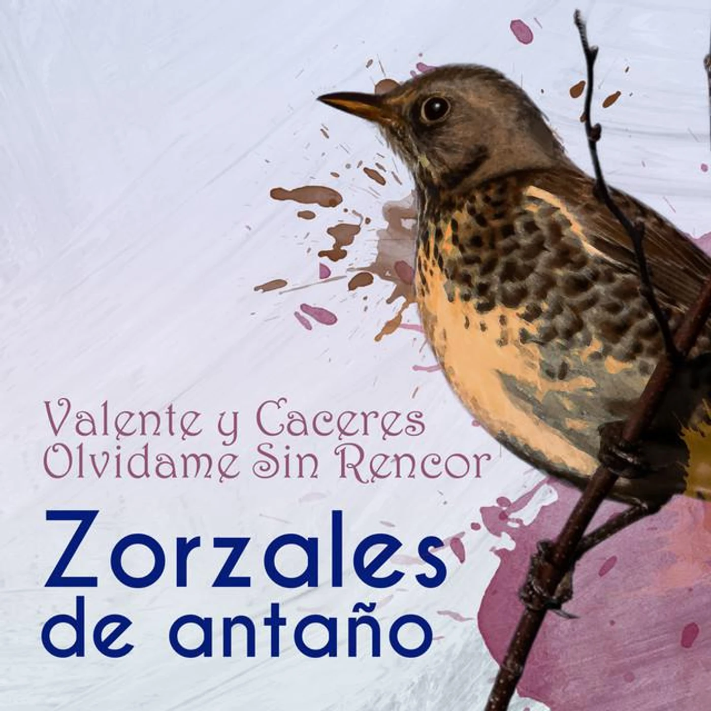 Valente y Cáceres Brand Page