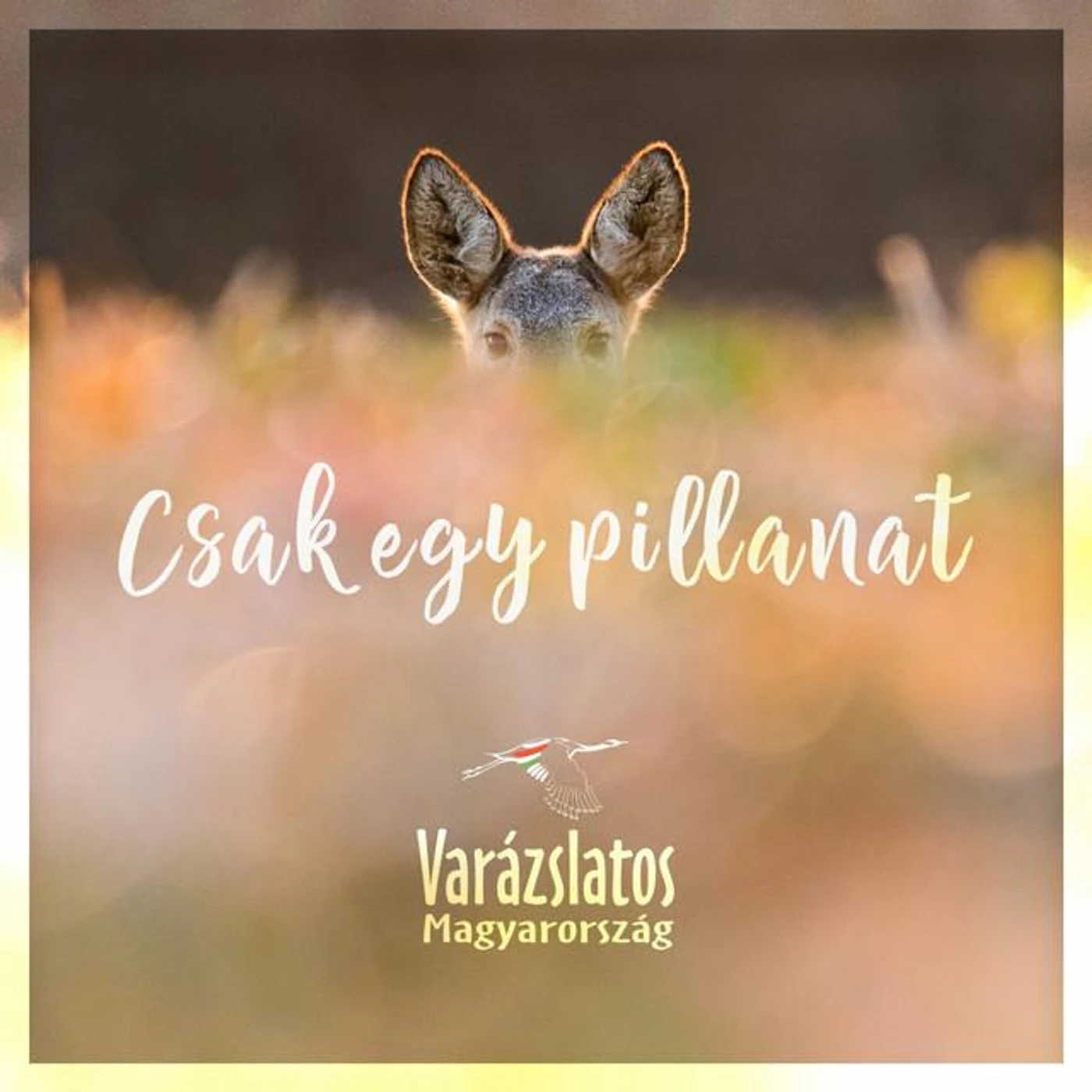 Varázslatos Magyarország