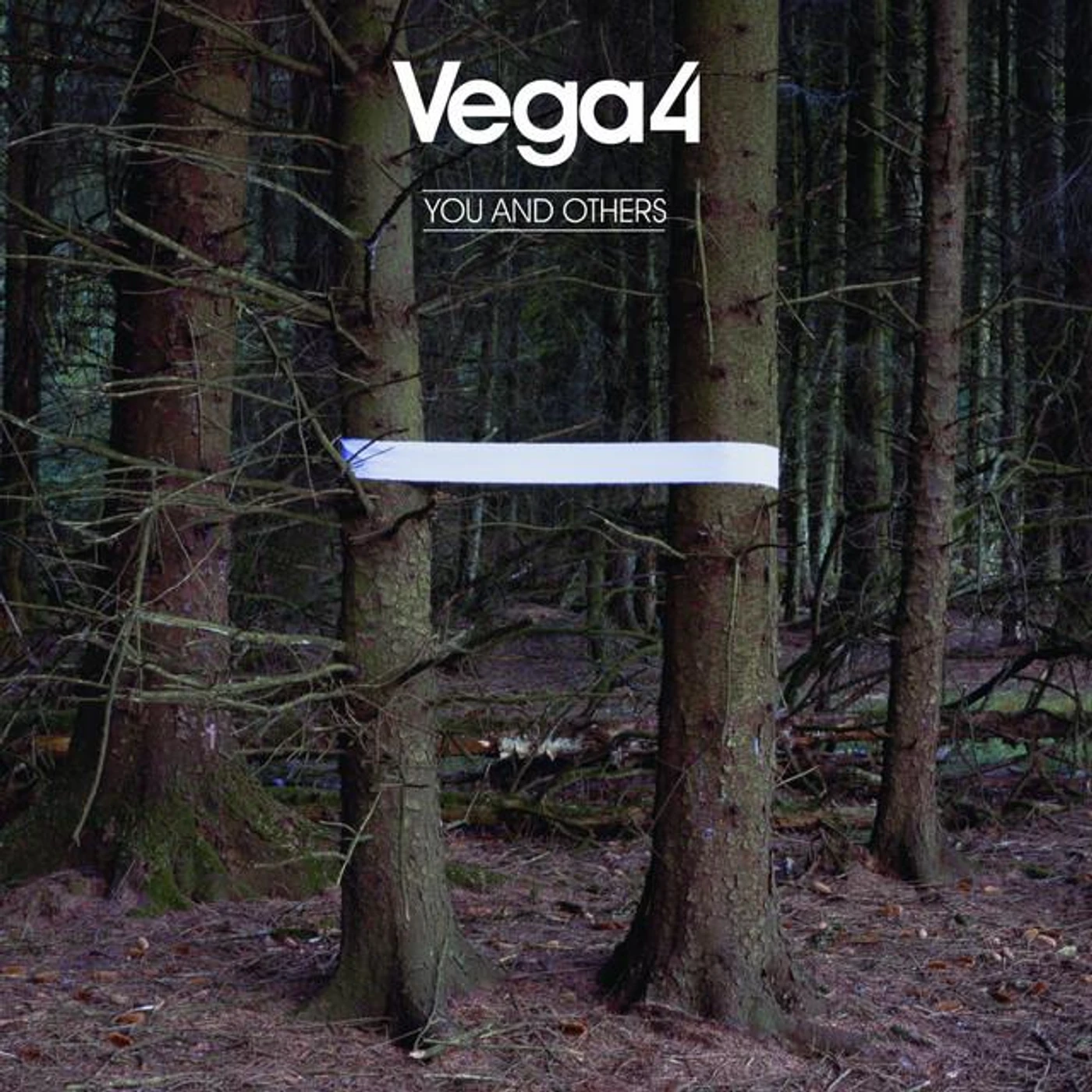 Vega4 Brand Page