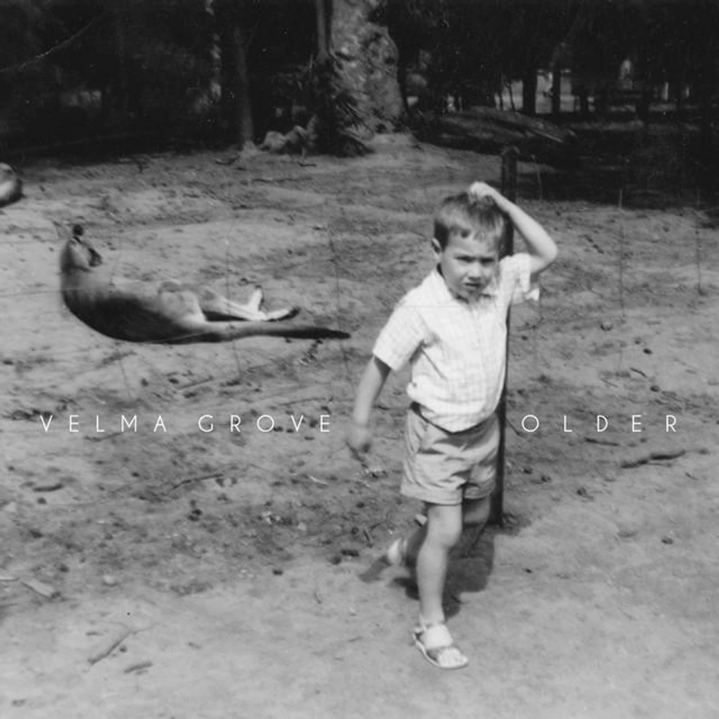 Velma Grove Brand Page