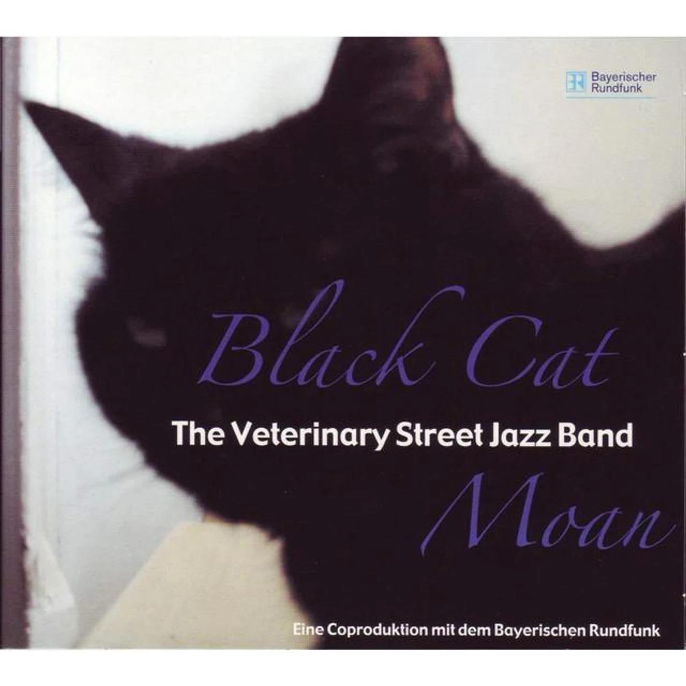 Veterinary Street Jazz Band Brand Page