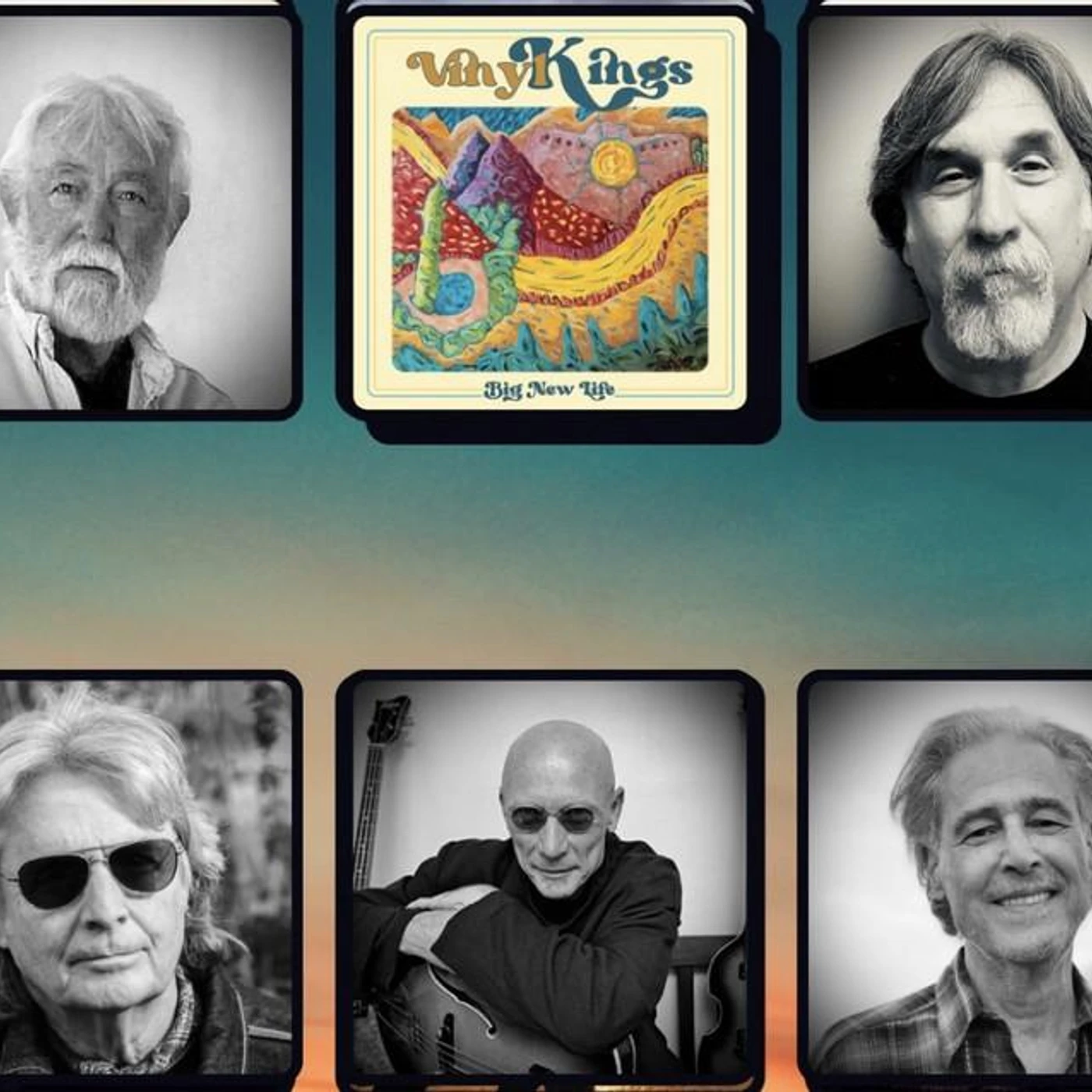 Vinyl Kings Brand Page