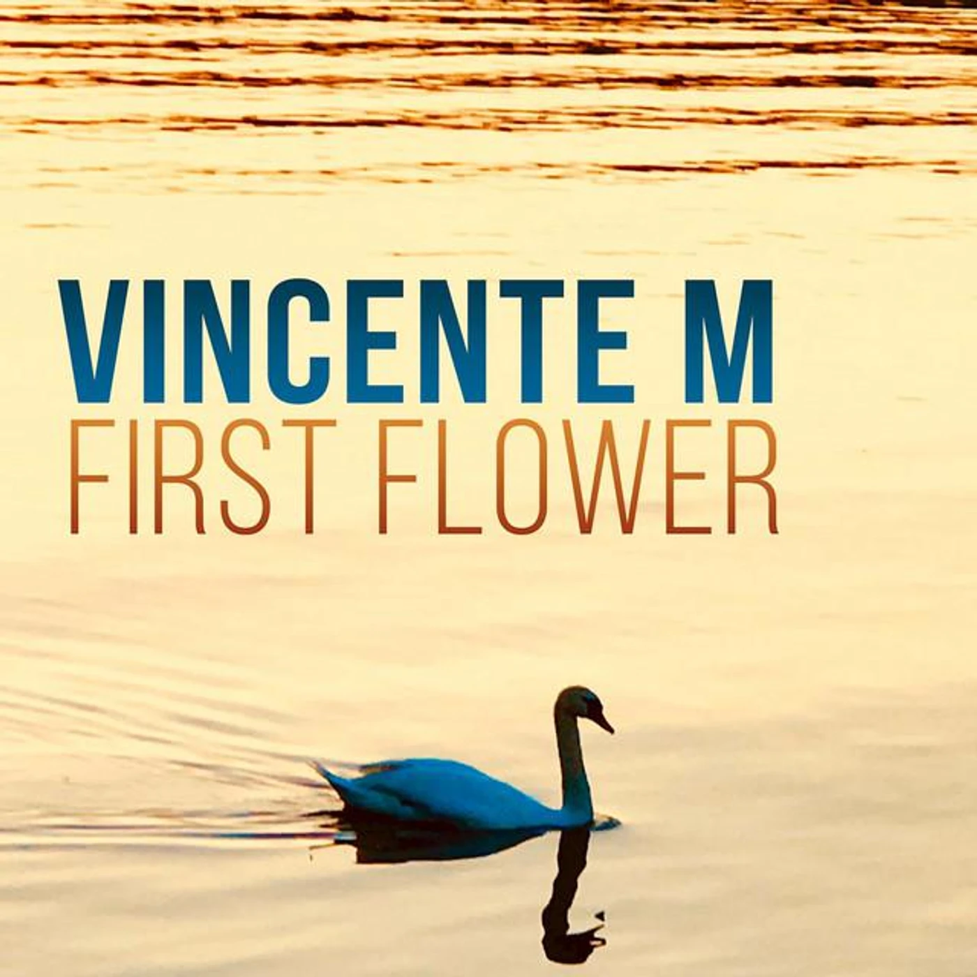 Vincente M Brand Page