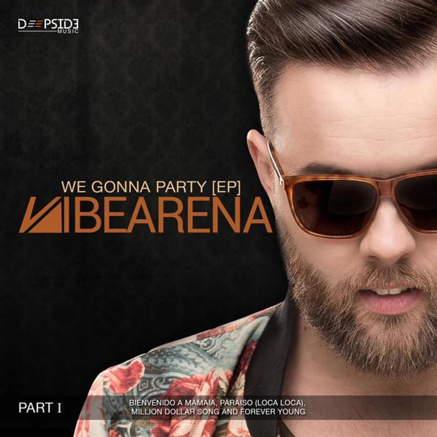 Vibearena
