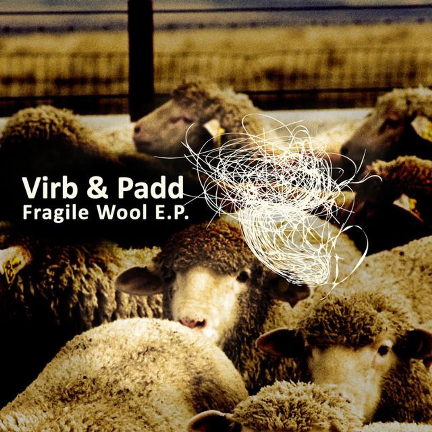 Virb & Padd Brand Page