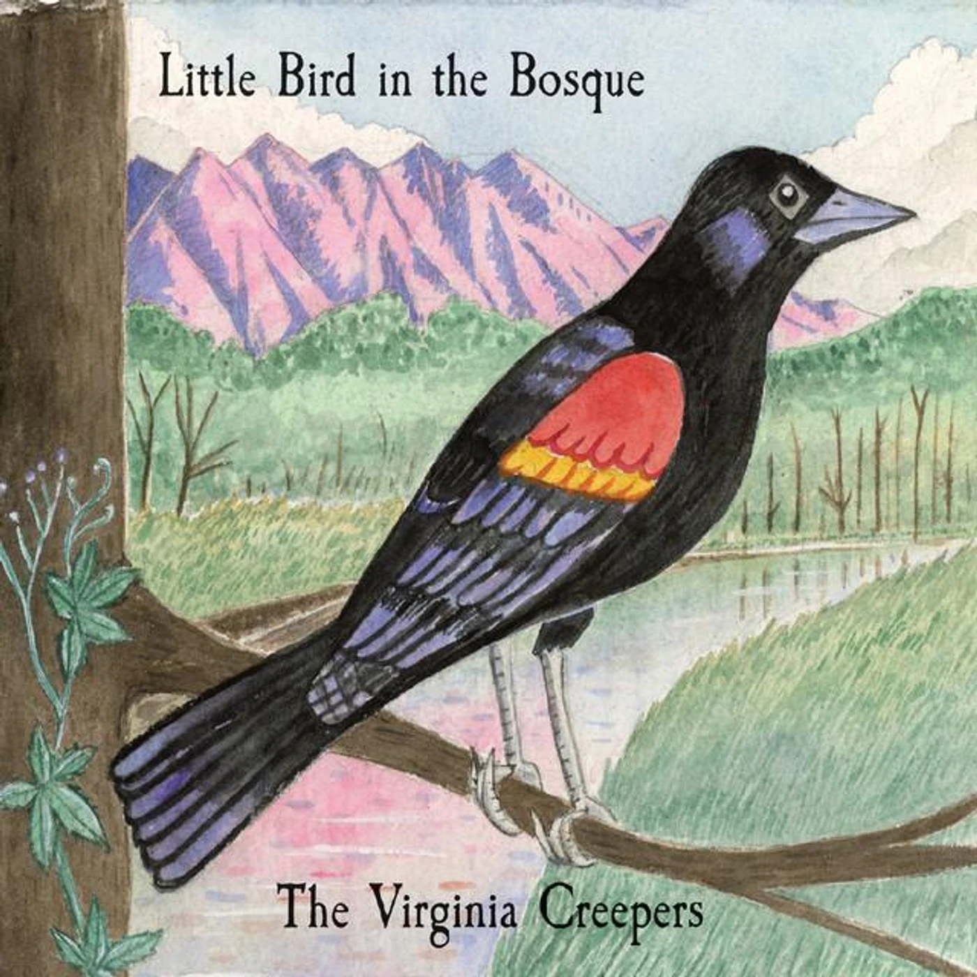 The Virginia Creepers Brand Page