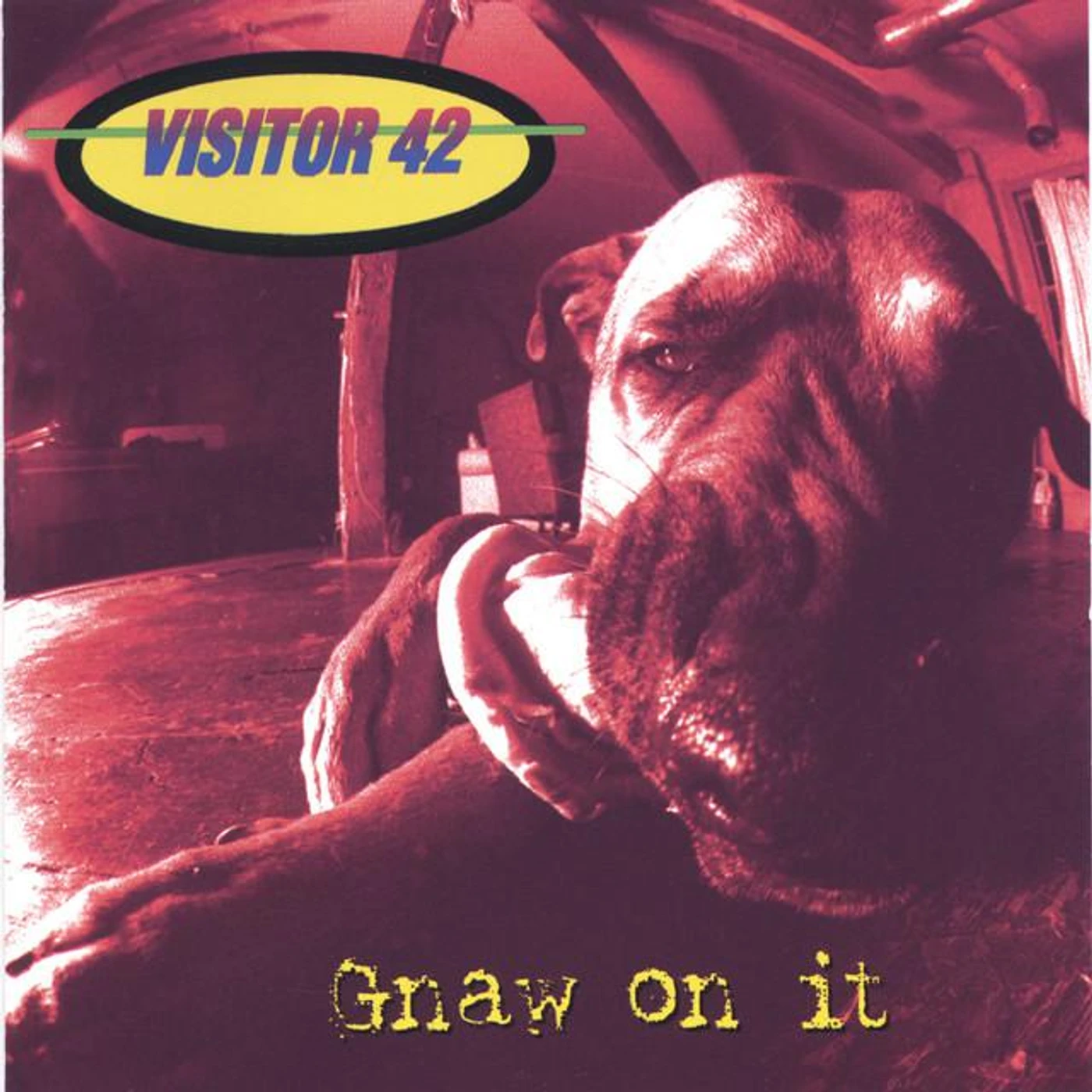 Visitor 42