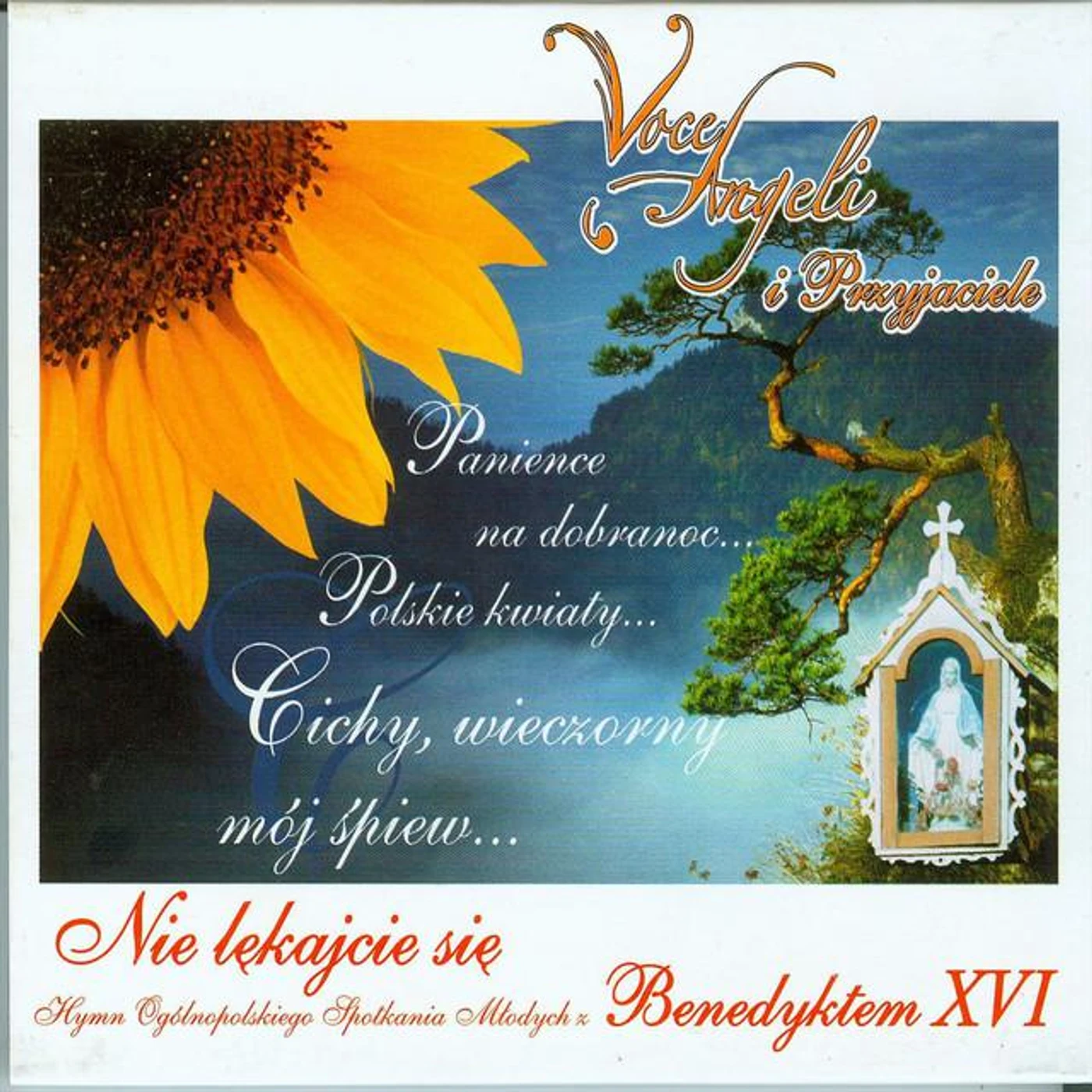 Voce Angeli i Przyjaciele Brand Page