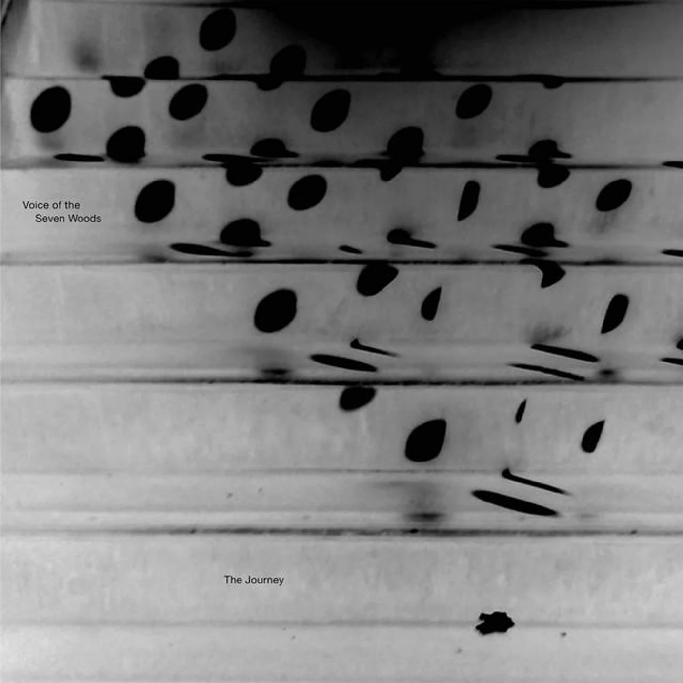 Voice Of The Seven Woods Brand Page