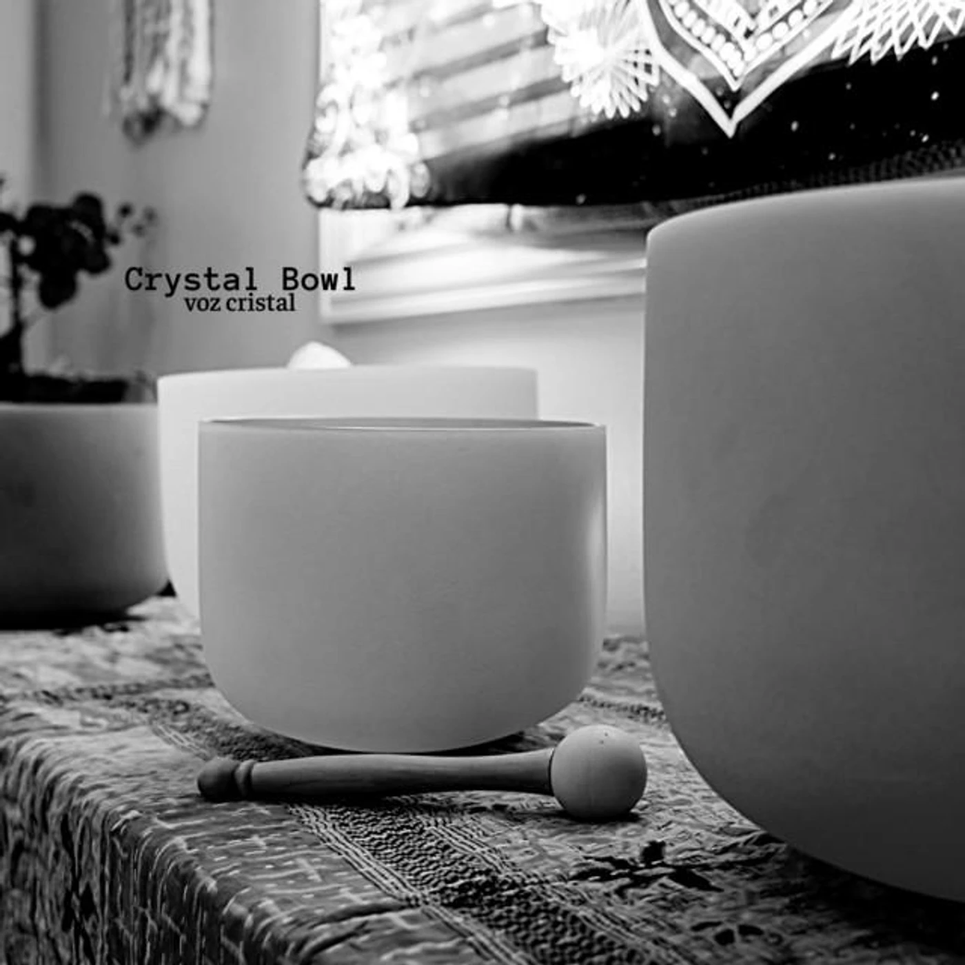 Voz Cristal Brand Page