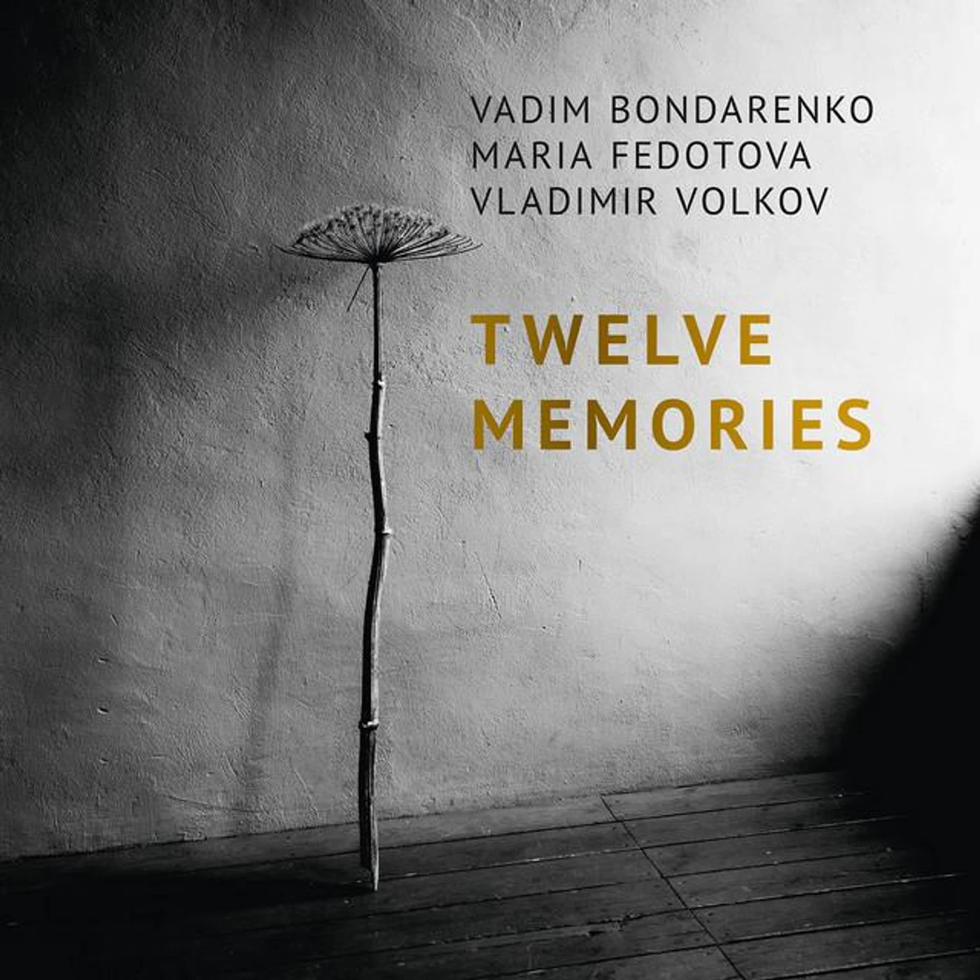Vladimir Volkov Brand Page