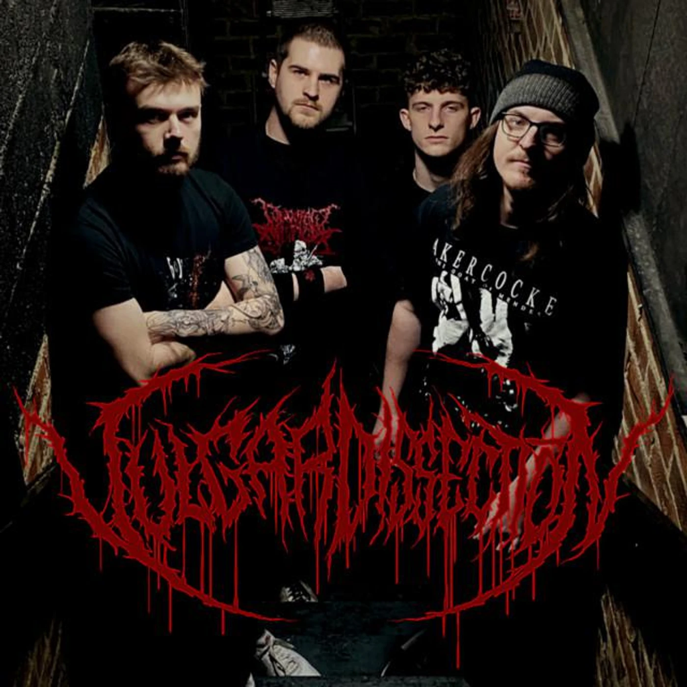 Vulgar Dissection Brand Page