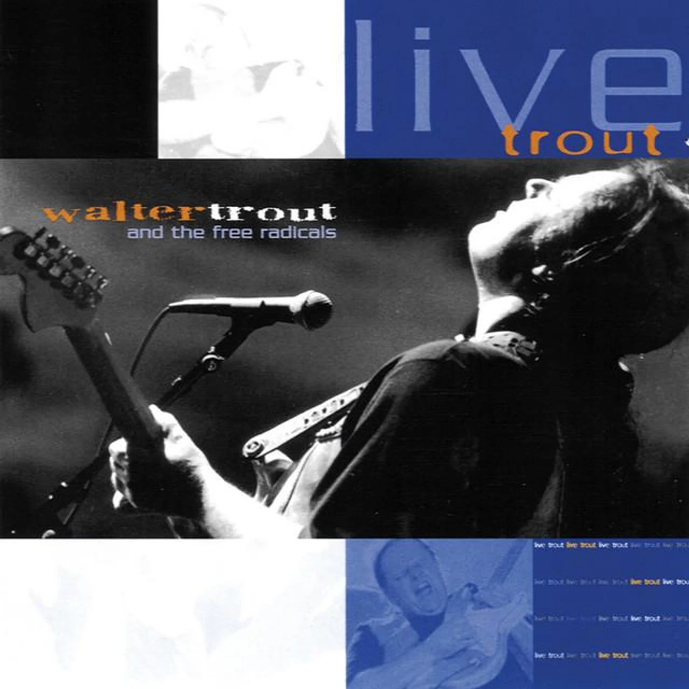 Walter Trout and The Free Radicals Brand Page