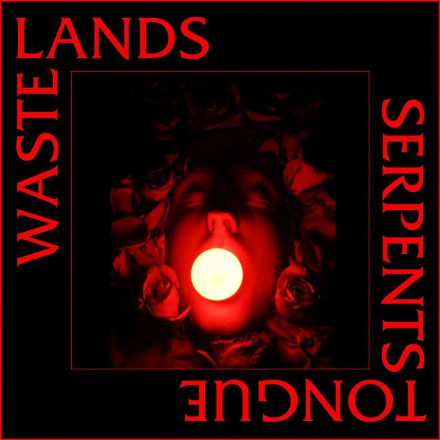 Wastelands Brand Page
