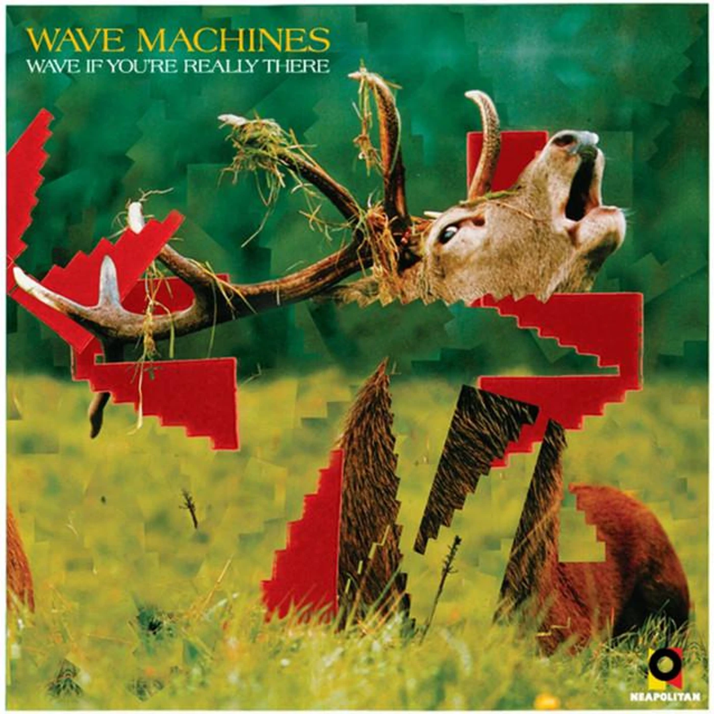 Wave Machines Brand Page
