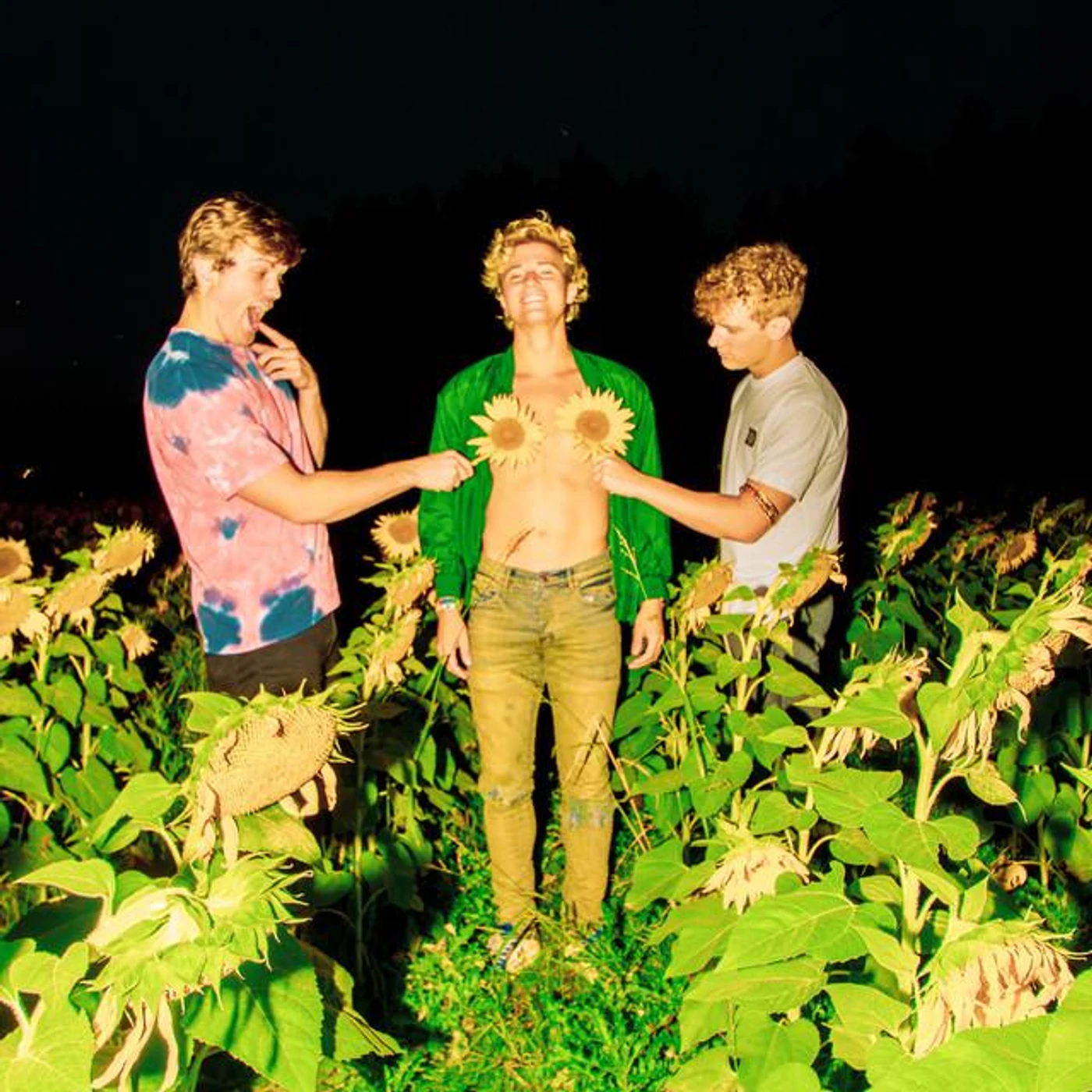 .wavrunner Brand Page