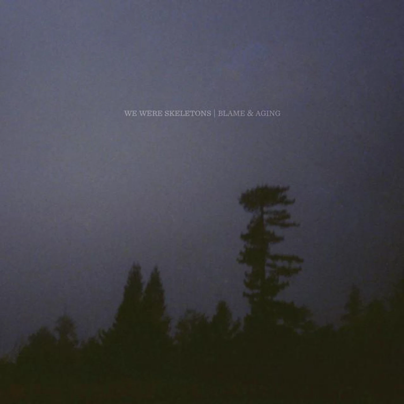 We Were Skeletons Brand Page