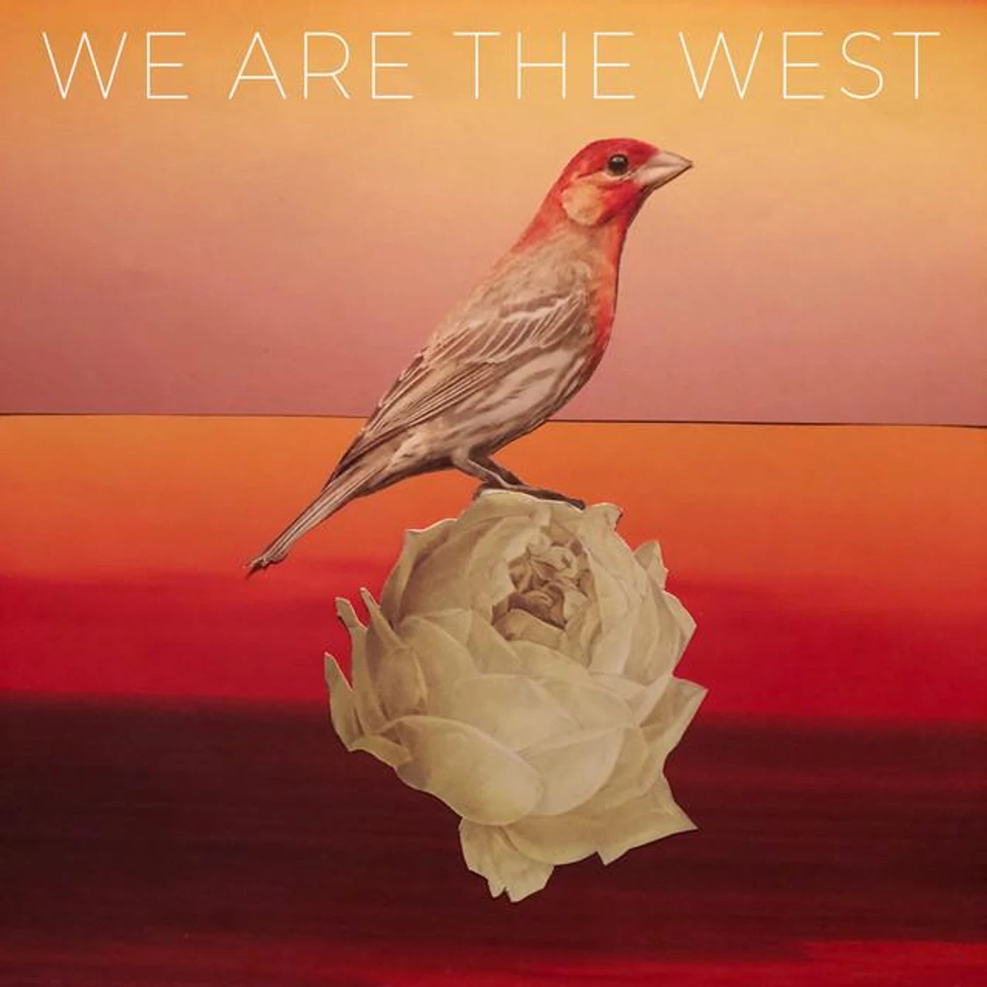 We Are The West Brand Page