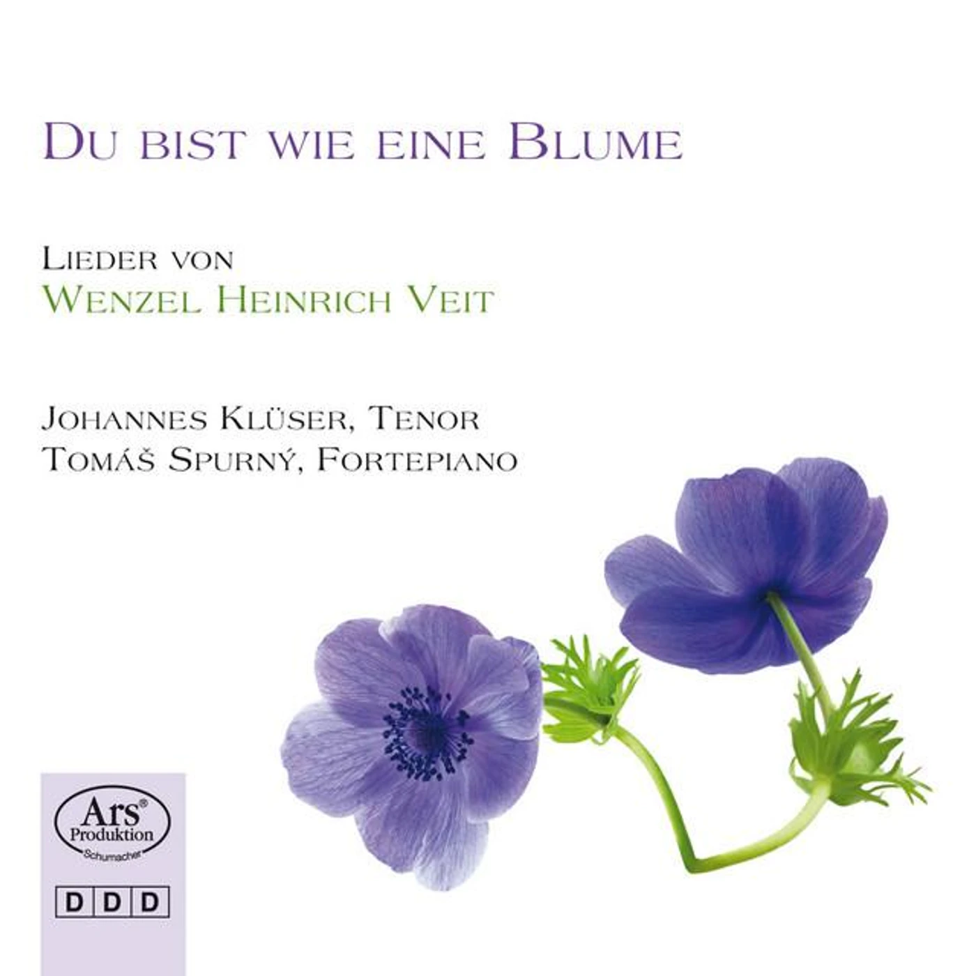 Wenzel Heinrich Veit Brand Page