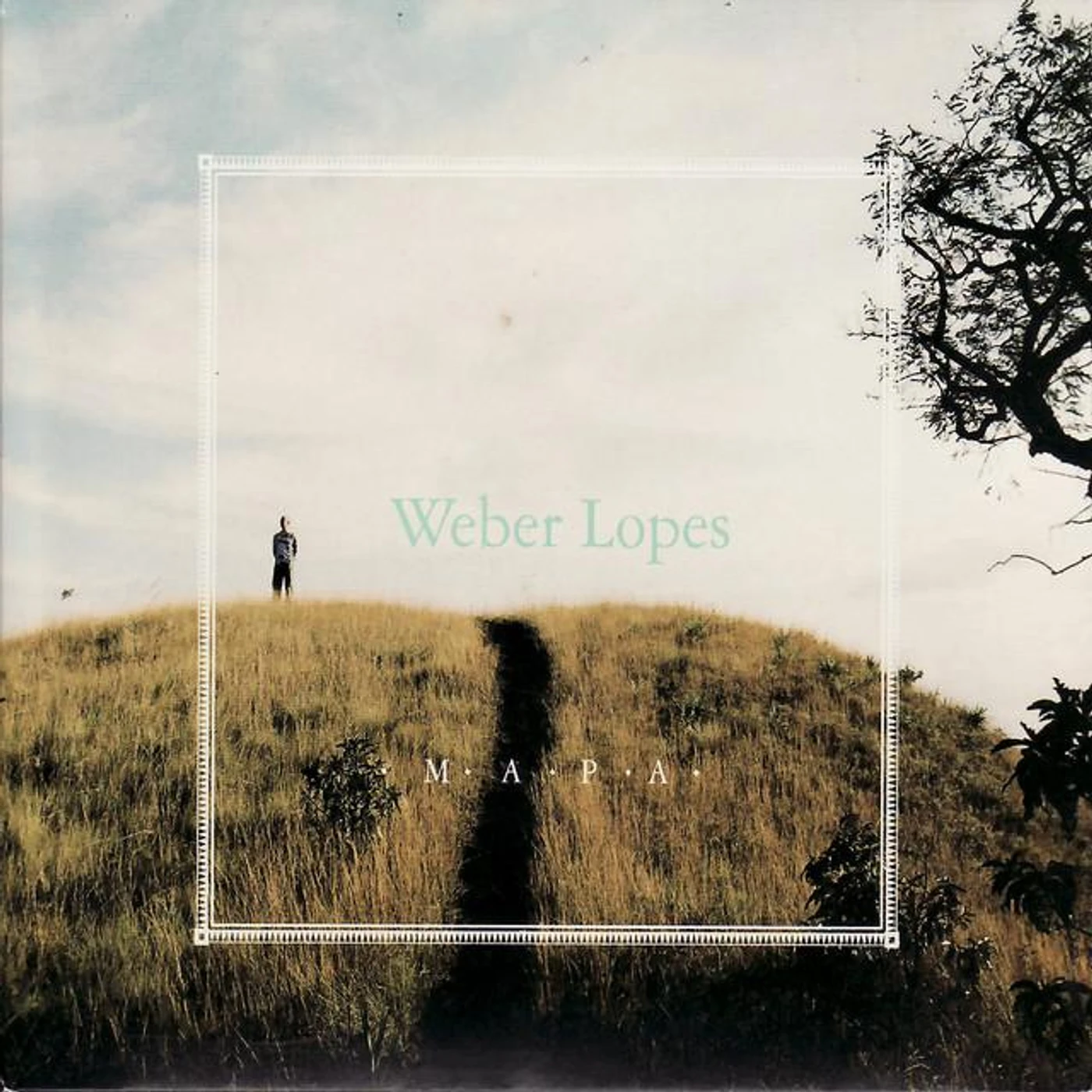 Weber Lopes Brand Page