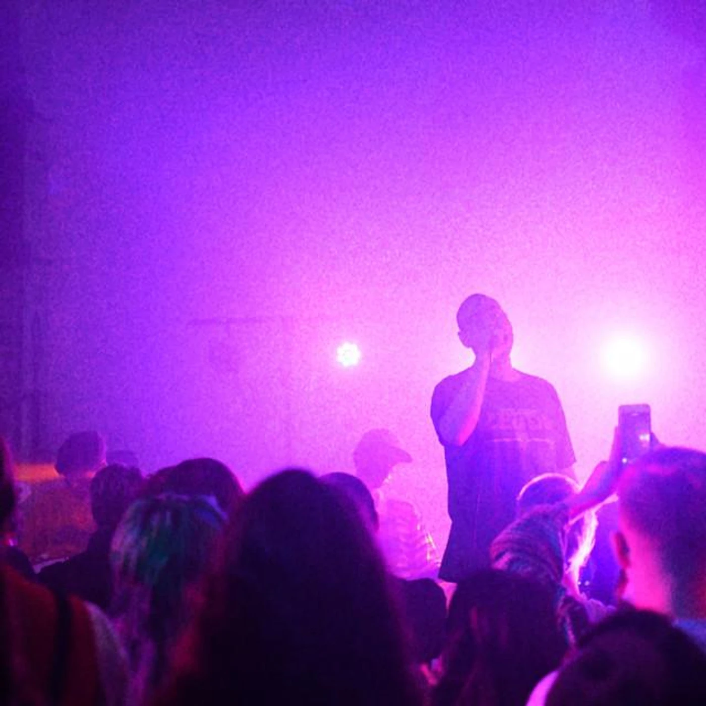 Weed & Dolphins Brand Page