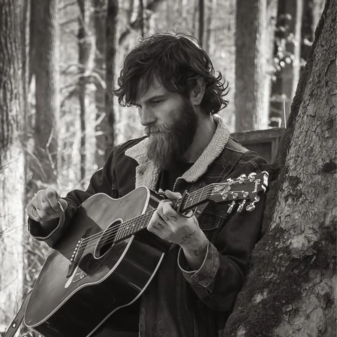 Wes Shipp Brand Page