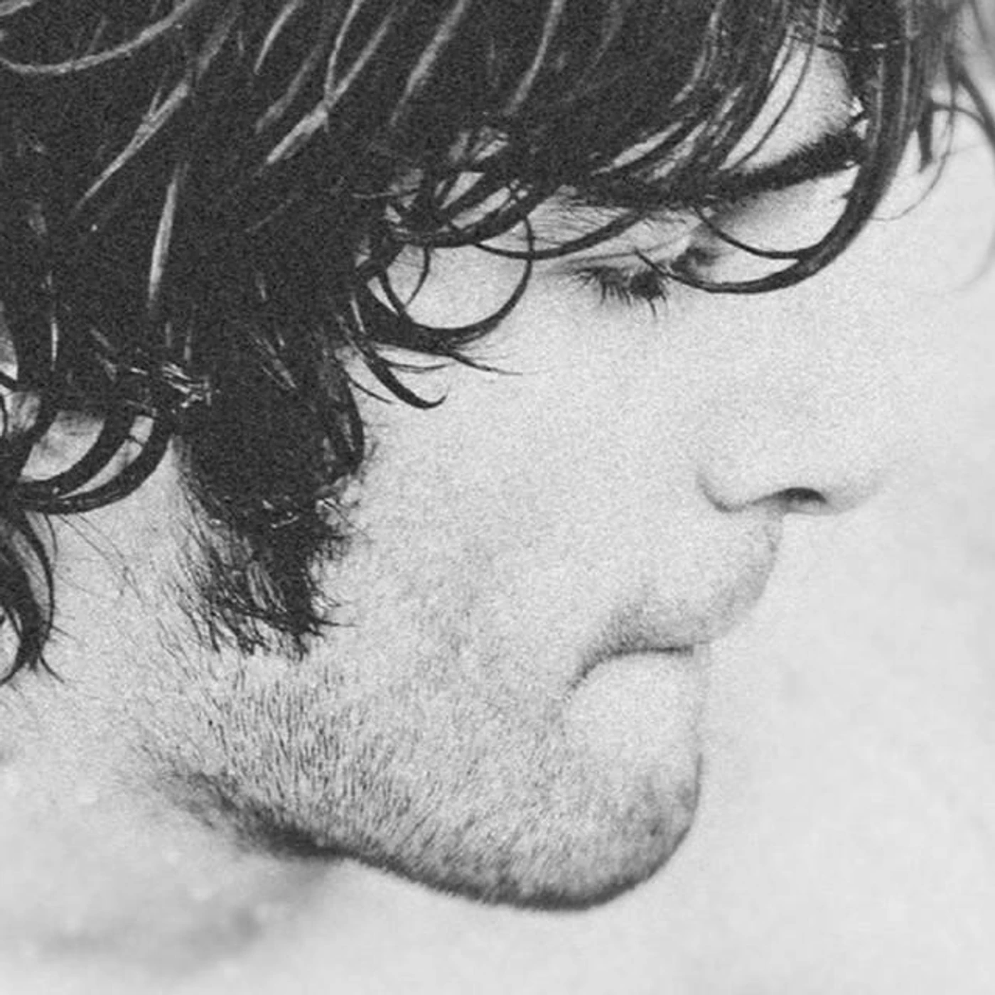 Whologram Brand Page