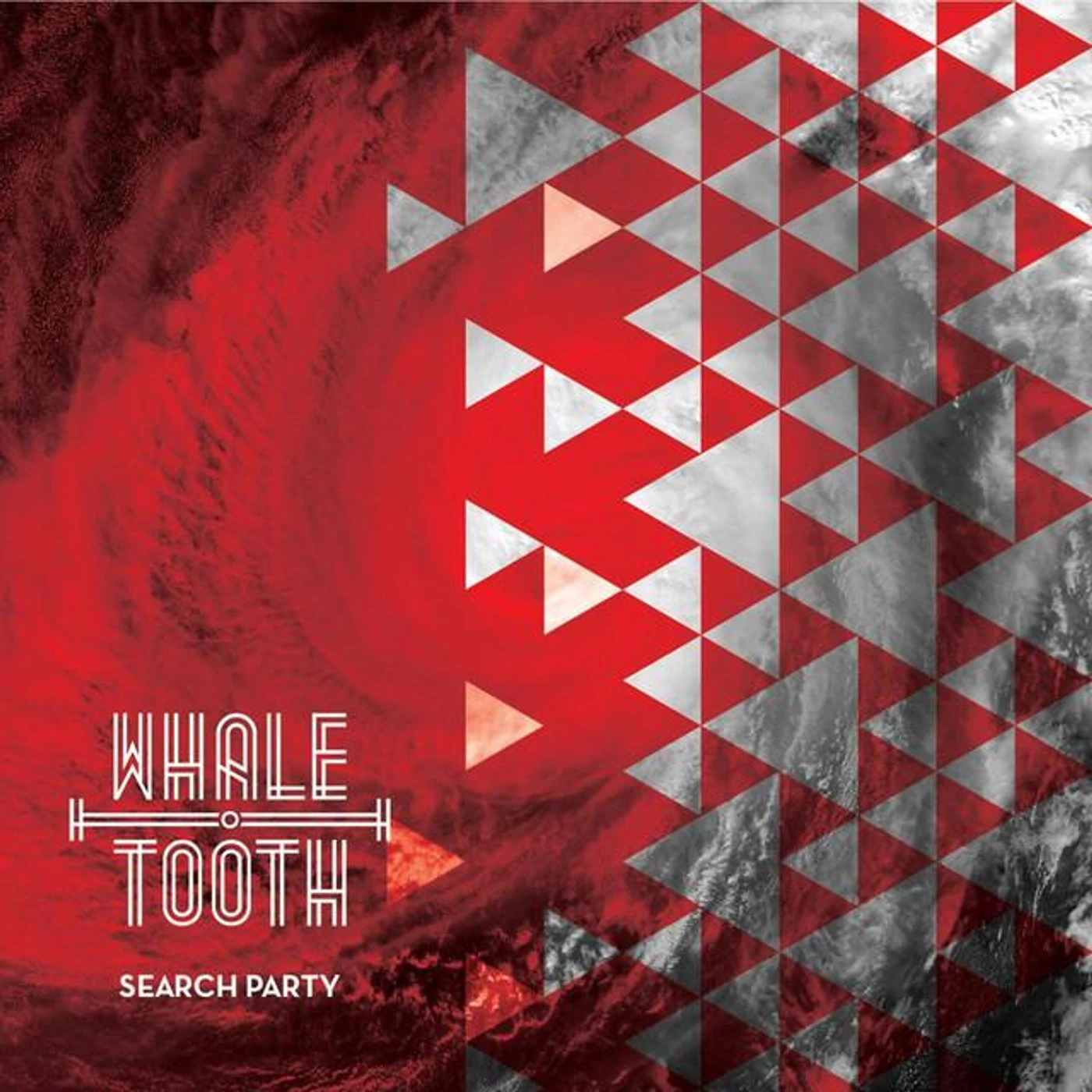 Whale Tooth Brand Page