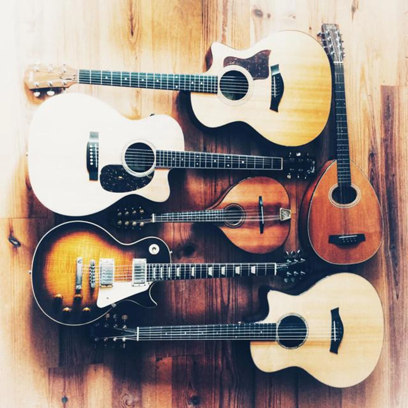 Whalebone Brand Page