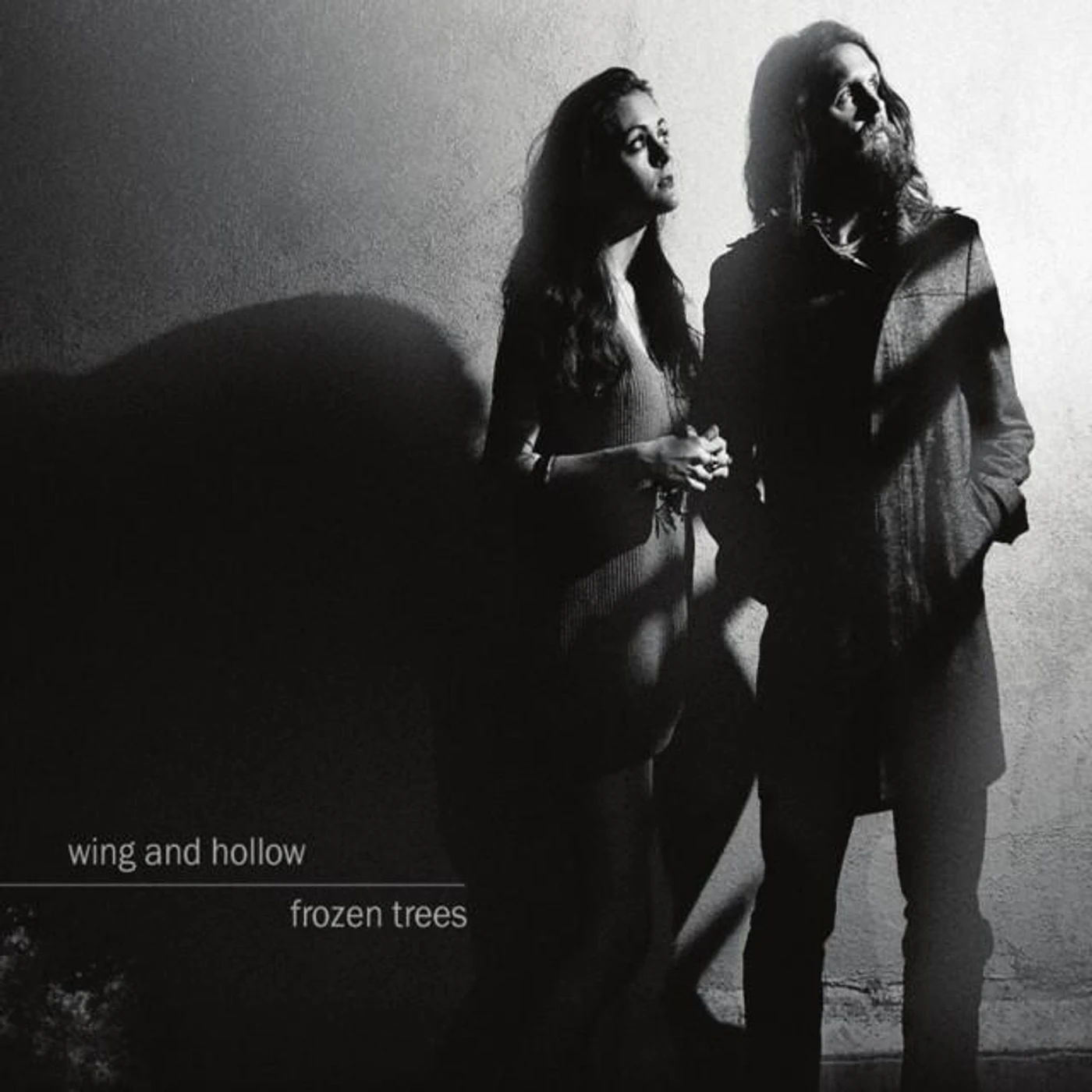 Wing and Hollow Brand Page