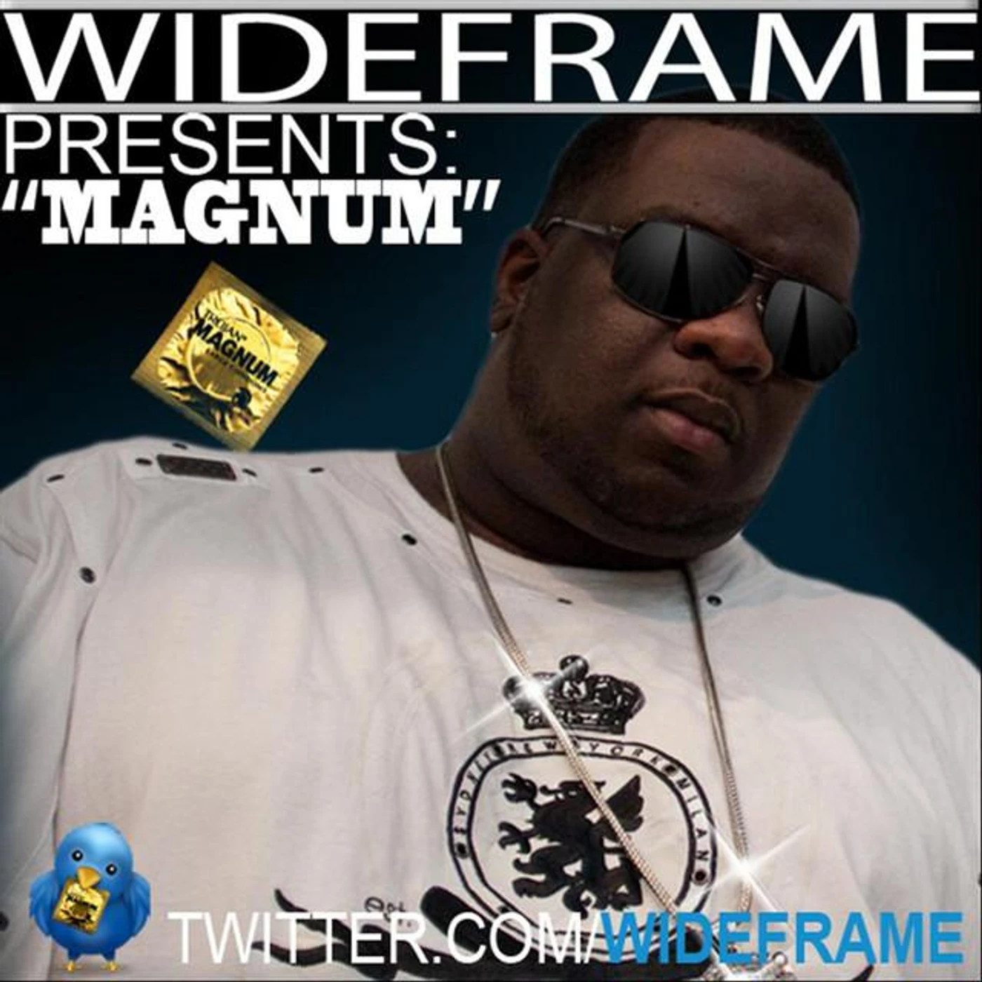 Wideframe Brand Page