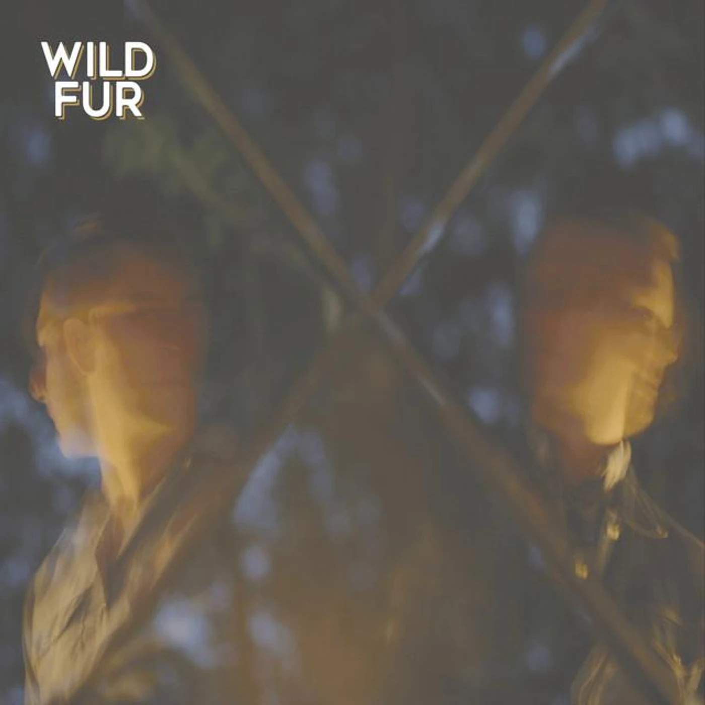 Wild Fur