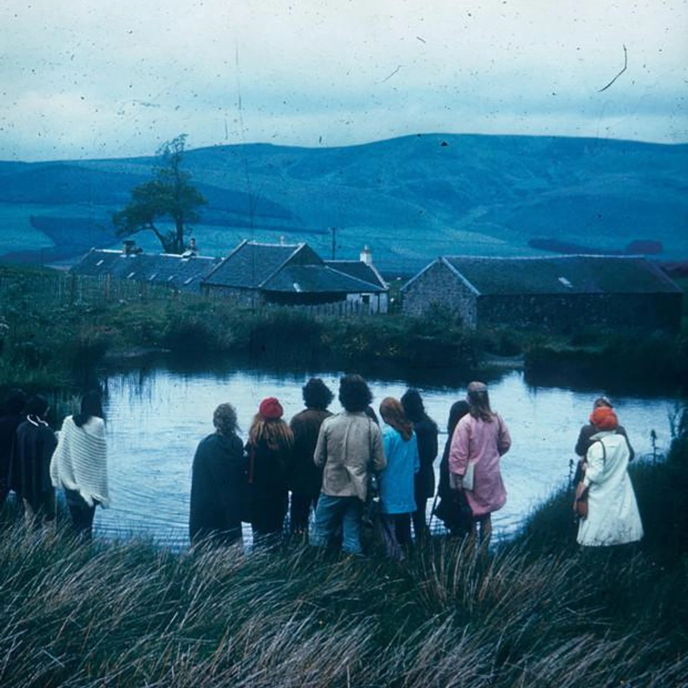 Wild Firth Brand Page