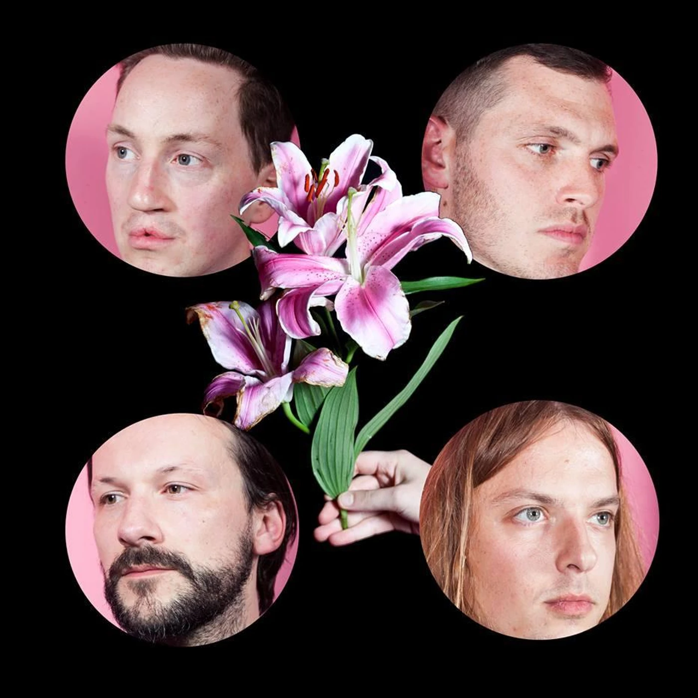 Wild Palms Brand Page