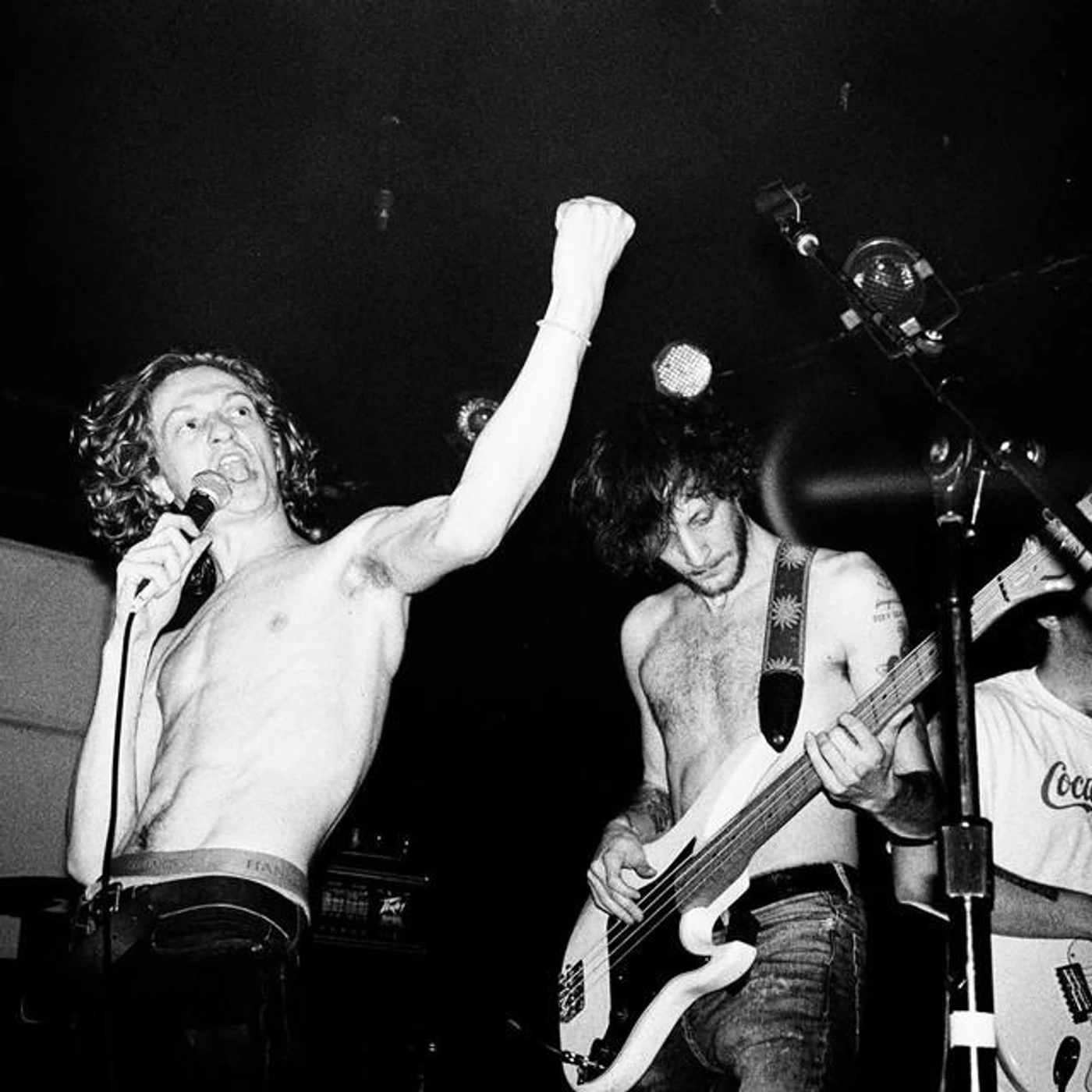 Wild Wing Brand Page