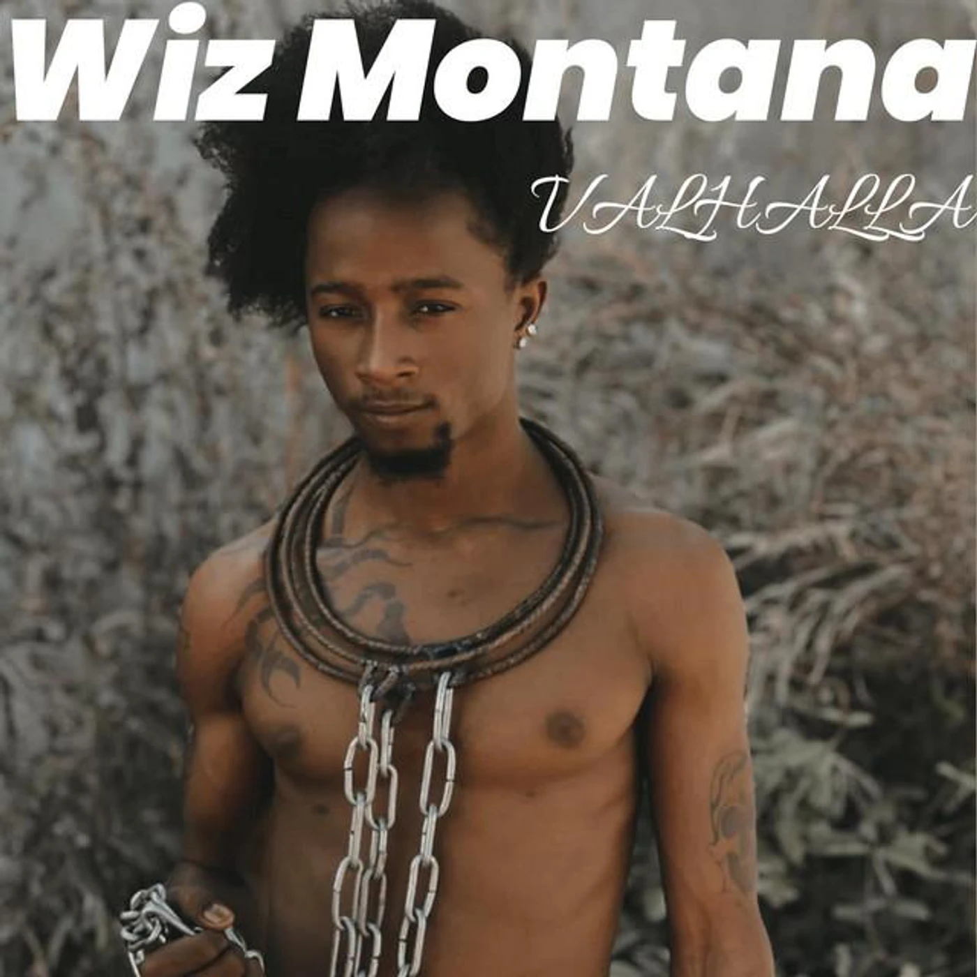 Wiz Montana Brand Page