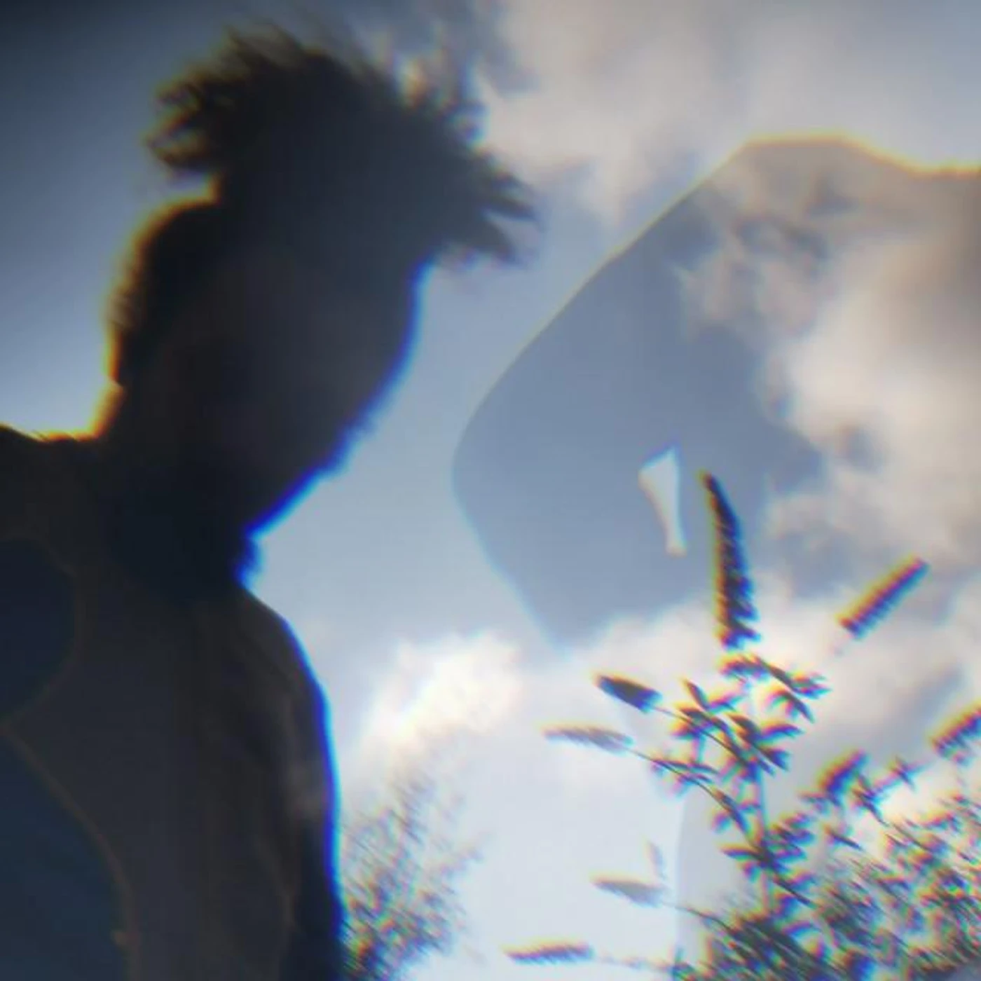 Wonky Logic Brand Page