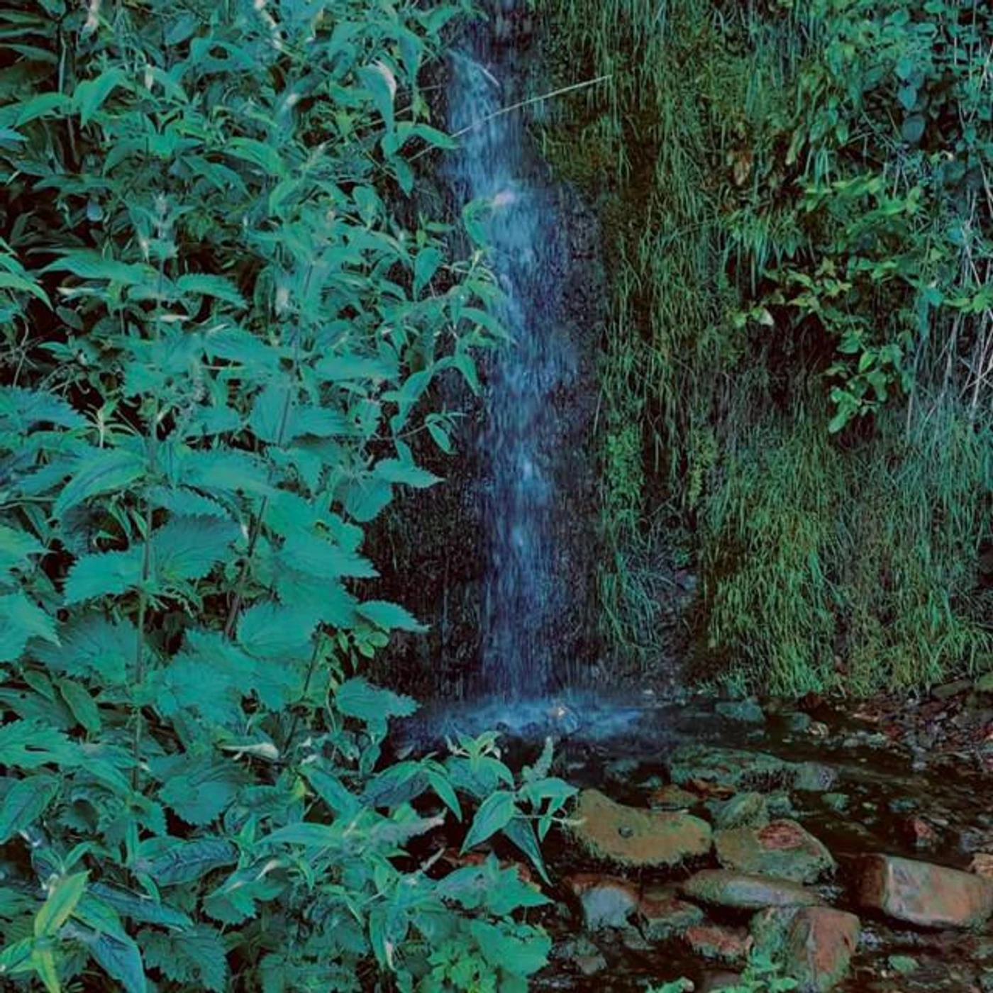 Wooshie's Wishes Brand Page