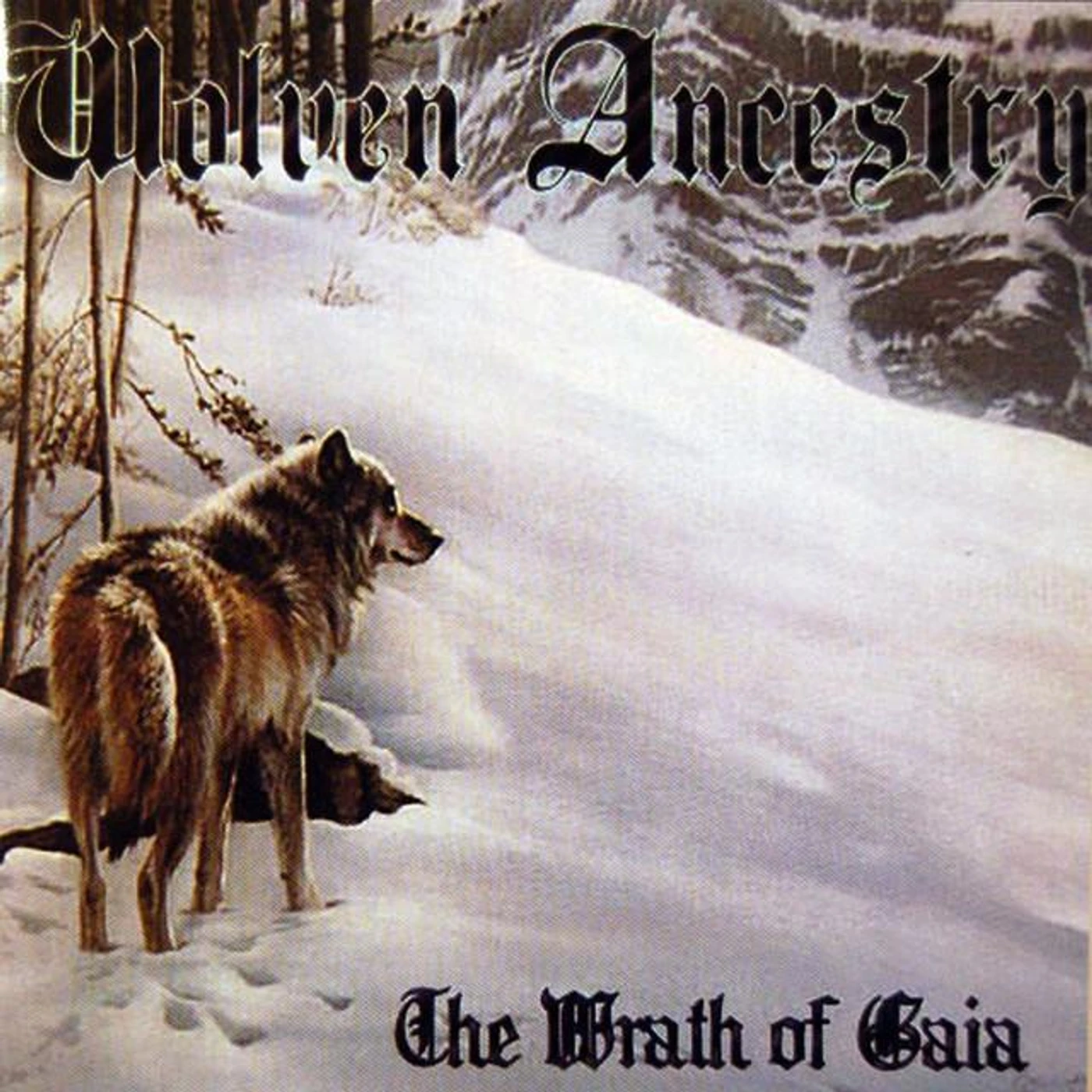 Wolven Ancestry