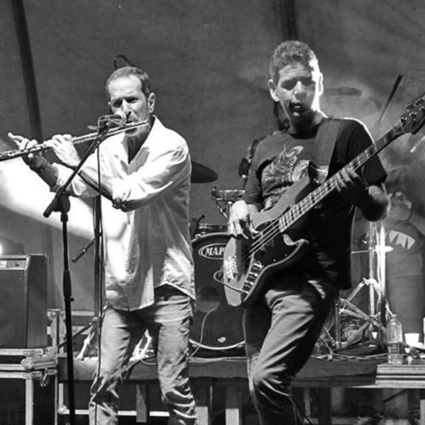 Xique Baratinho Brand Page