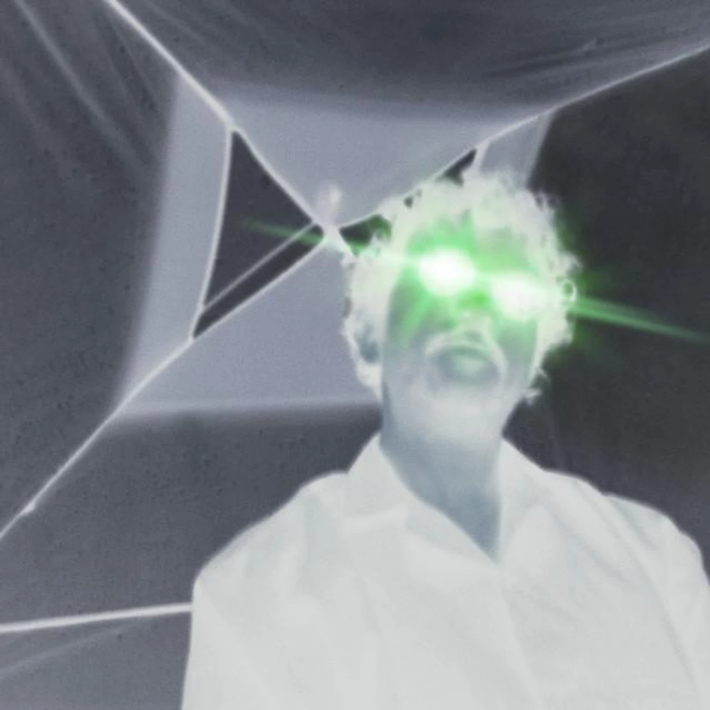 Y Bülbül Brand Page